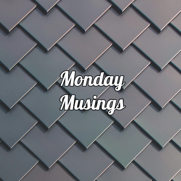 Monday Musings: Seahawks Champions, Gray Skies &amp; Valentine’s Around the Corner
