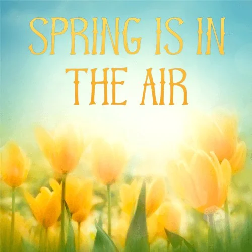 Think Spring: Outdoor Living Upgrades Worth Investing In