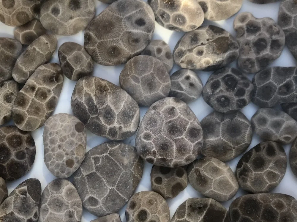 Matt Dunstone, Producer/Director