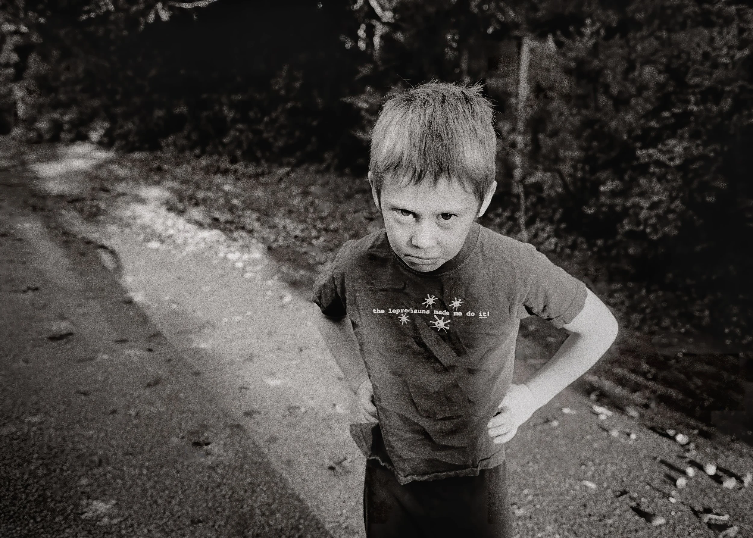 The Leprechauns Made Me Do It