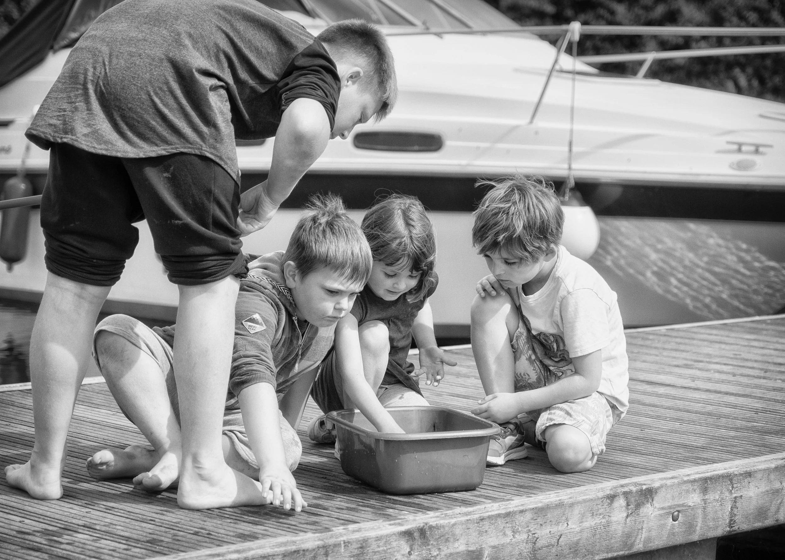 Catching Fish &amp; Dogs