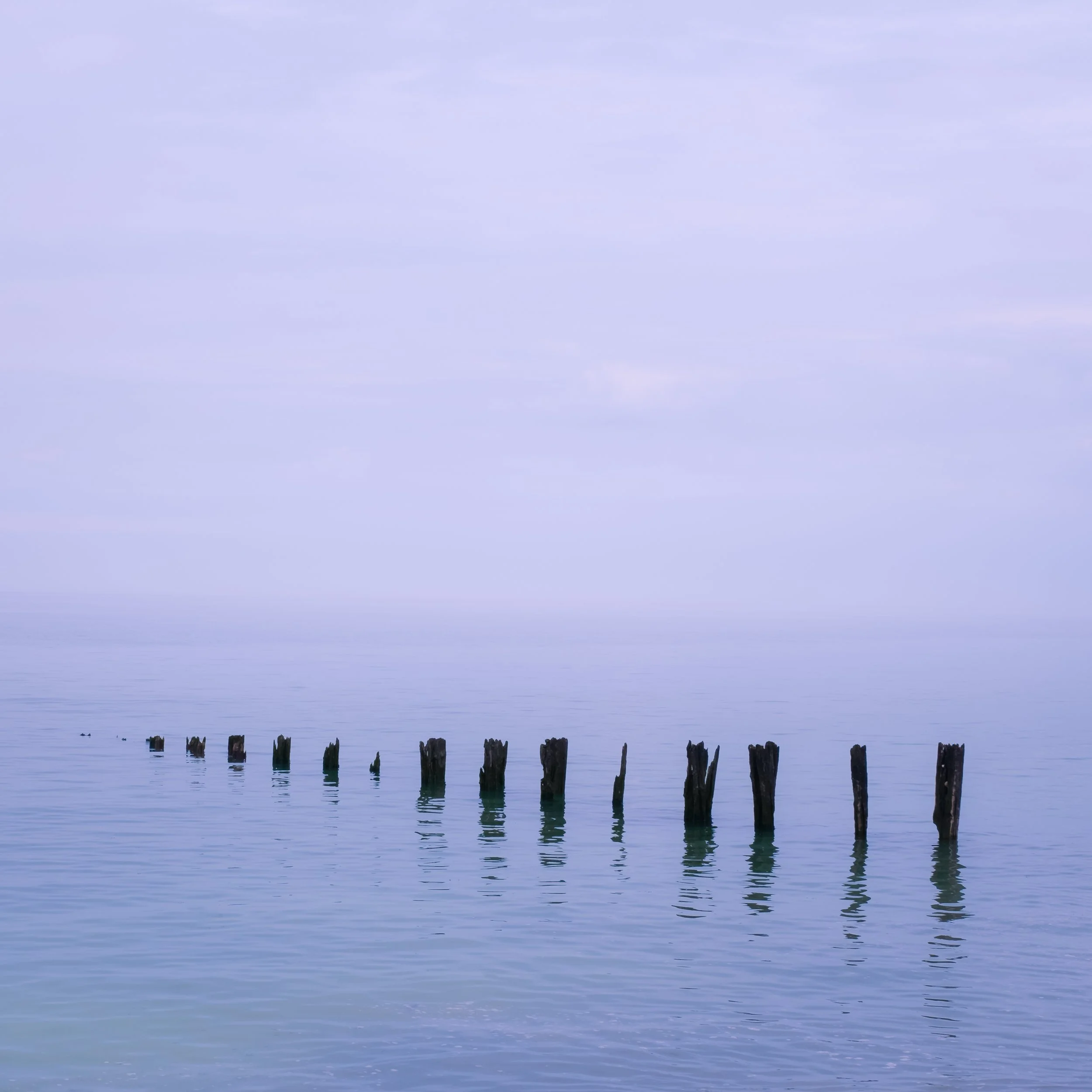 DSCF0169-Edit.jpg
