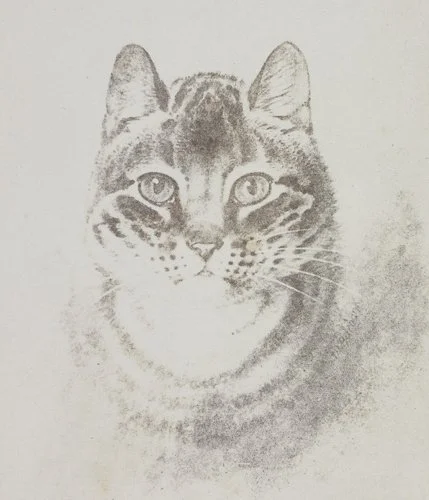 wm-henry-fox-talbot-cat-calotype-default.jpg