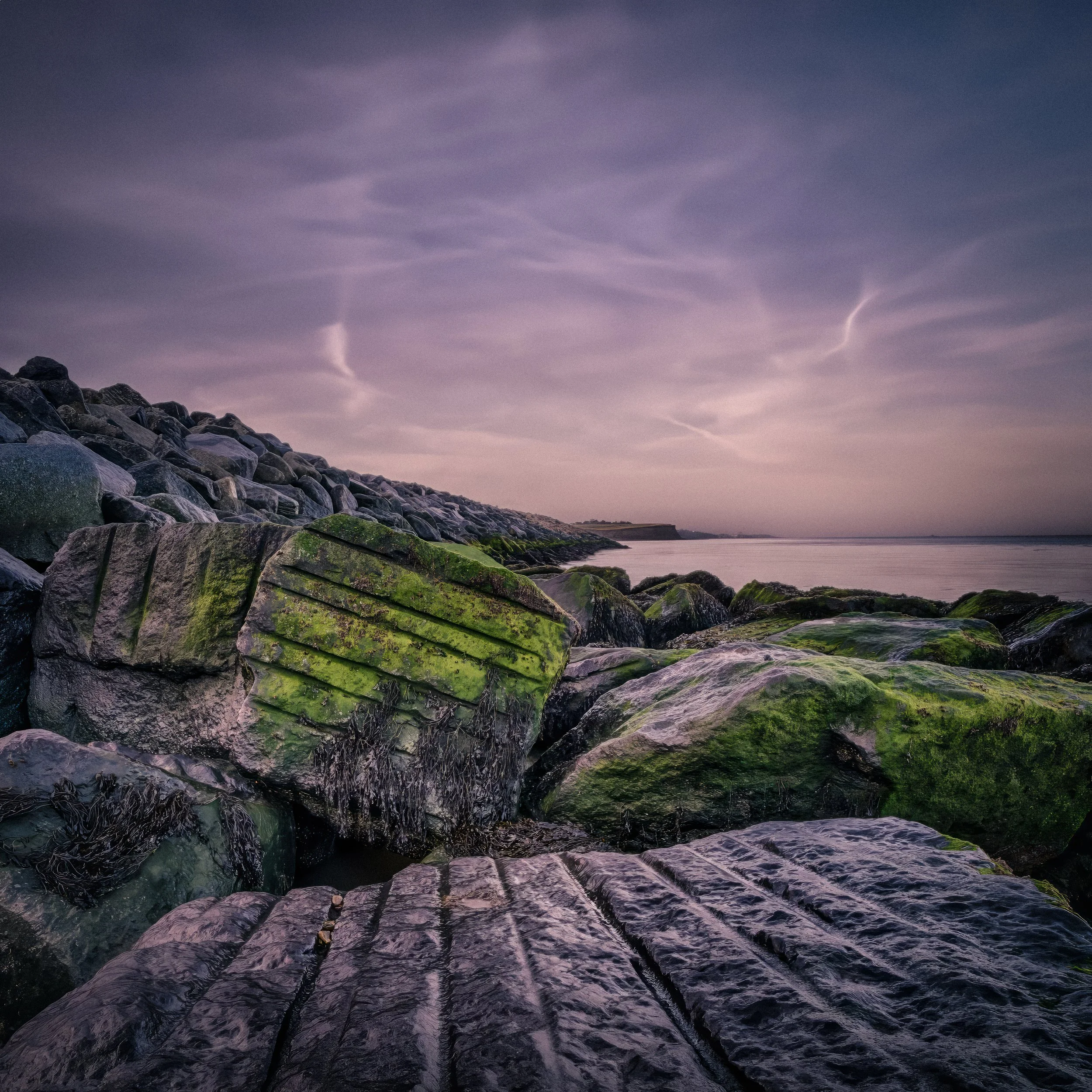 Wet Rocks &amp; Seaweed