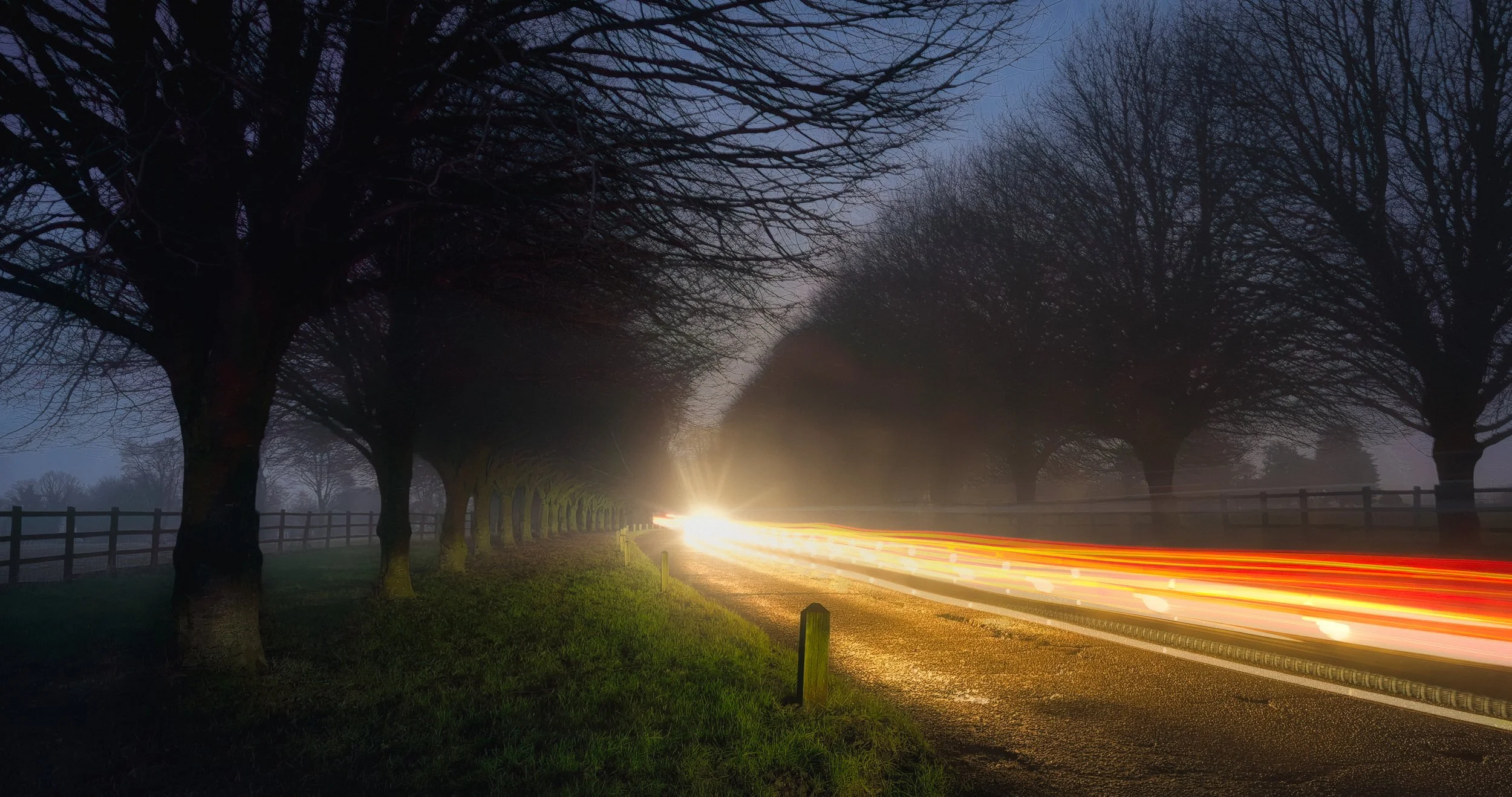 Country Lane Light Show