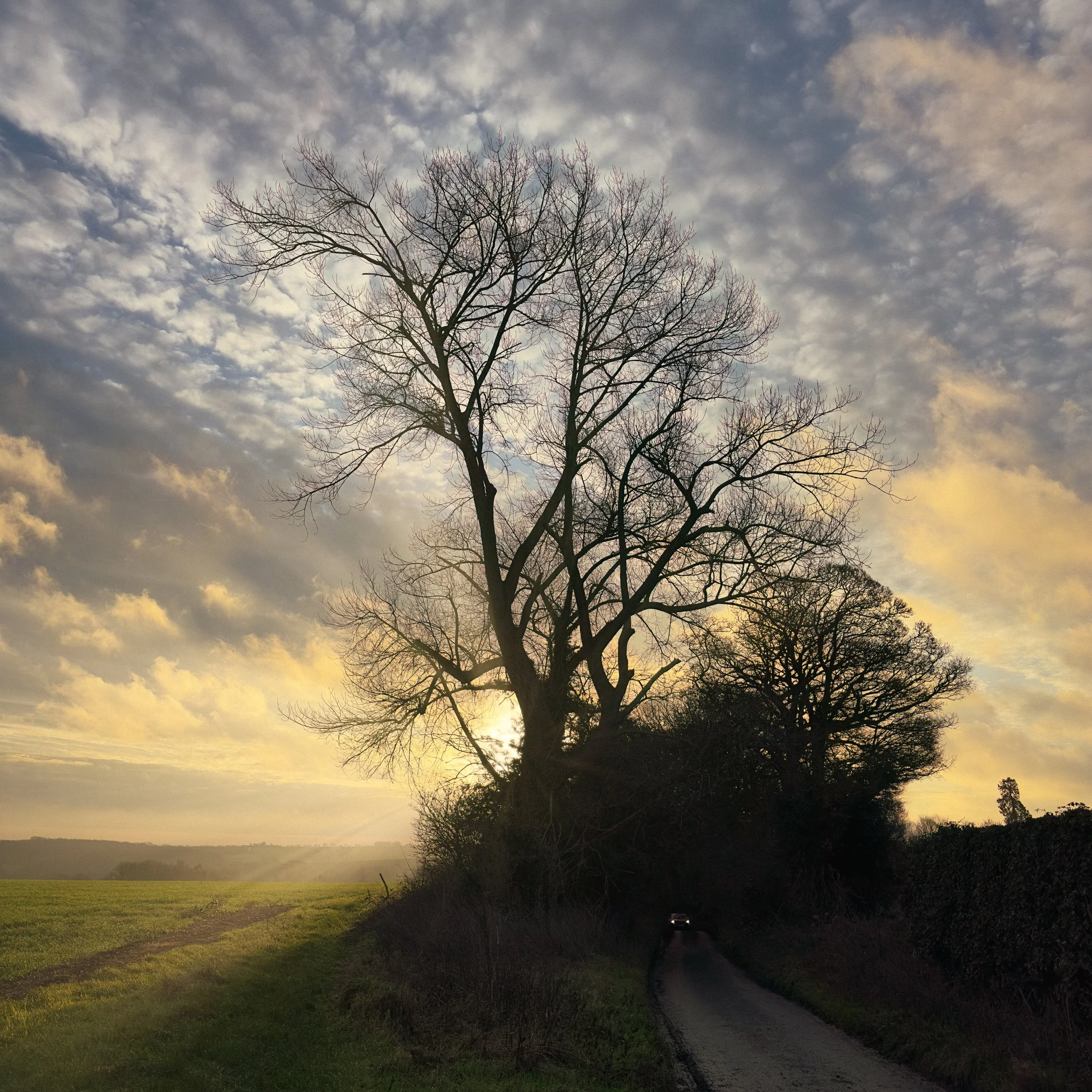 Patrixbourne Sunrise