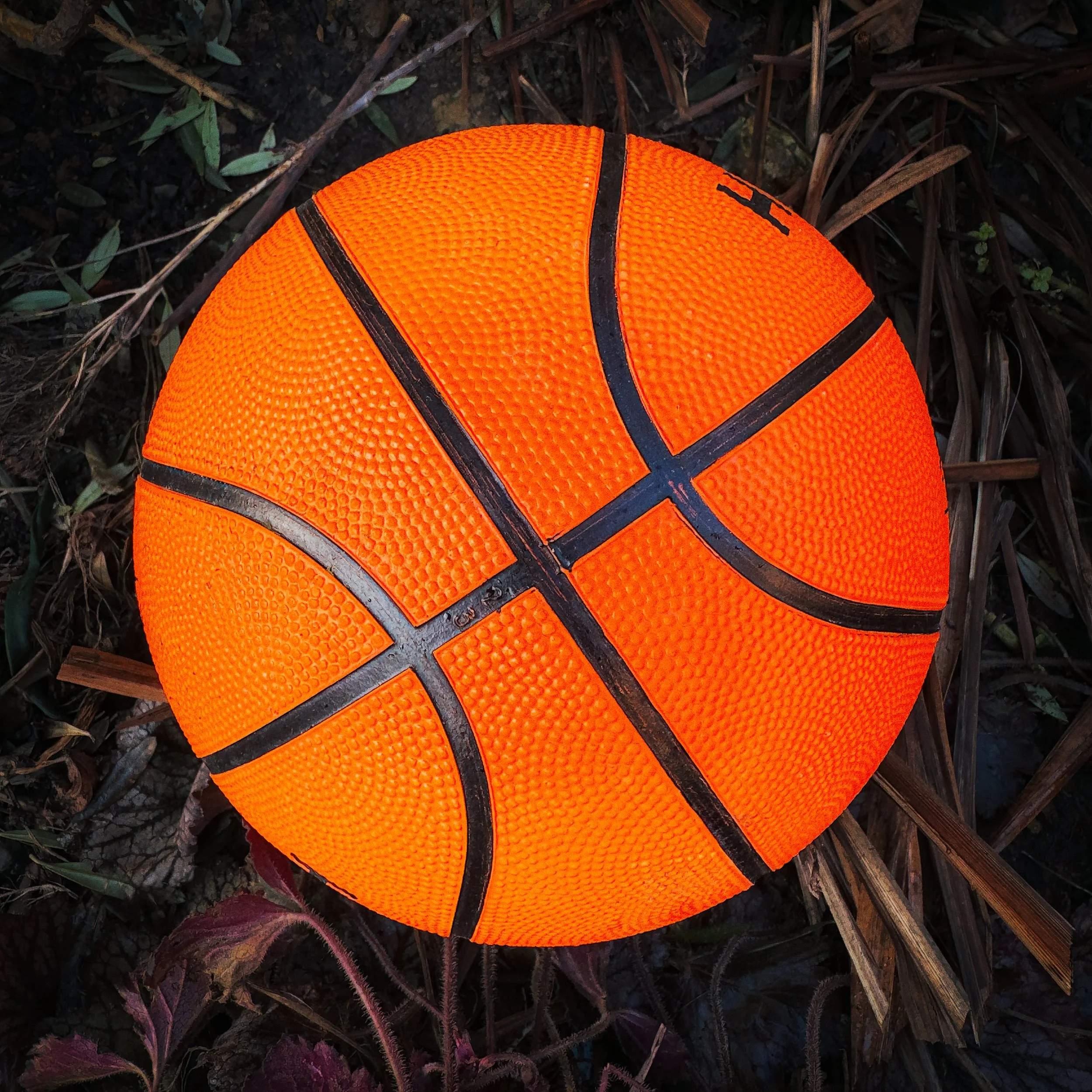 Basketball Down