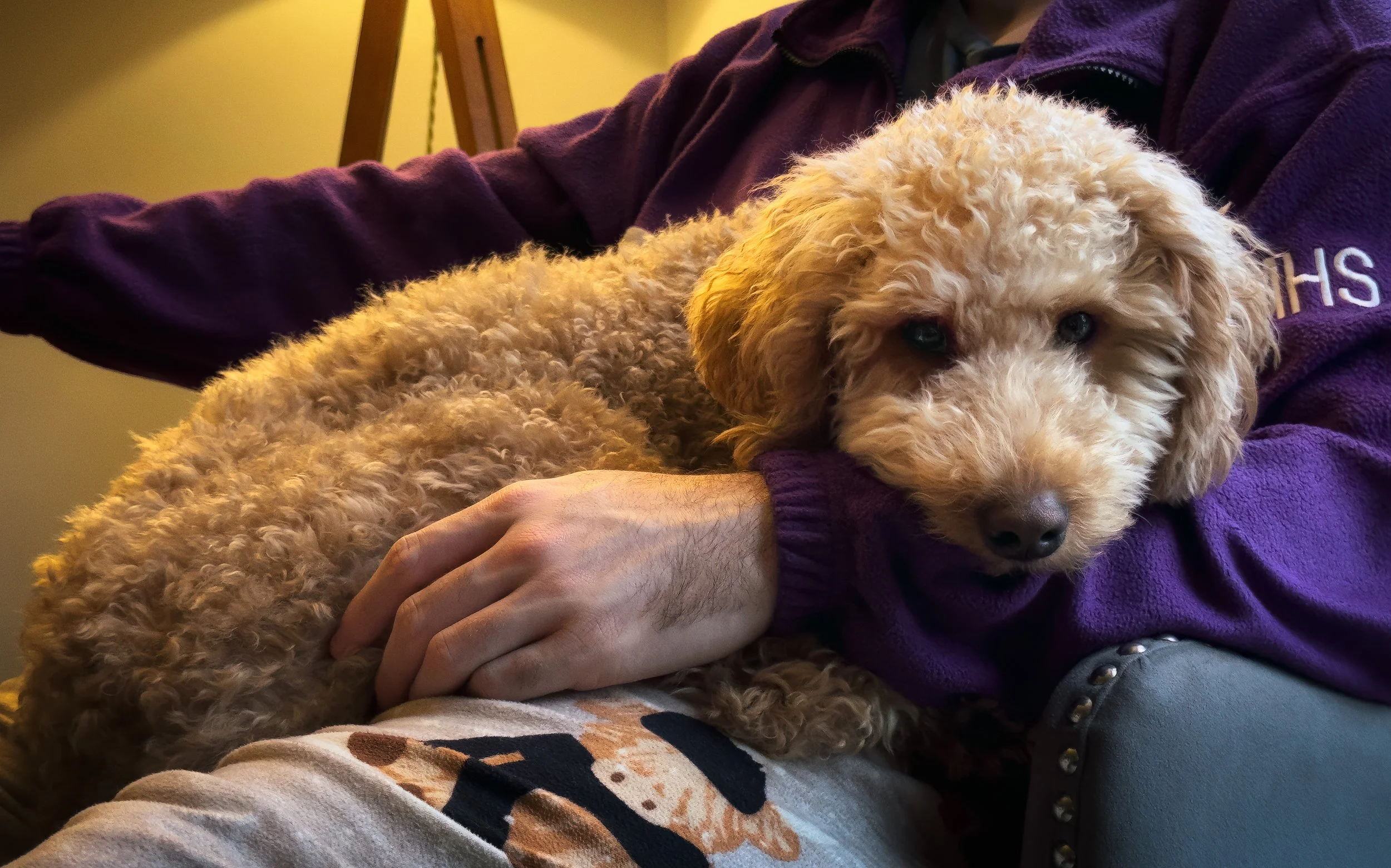 Bento’s Favourite Spot