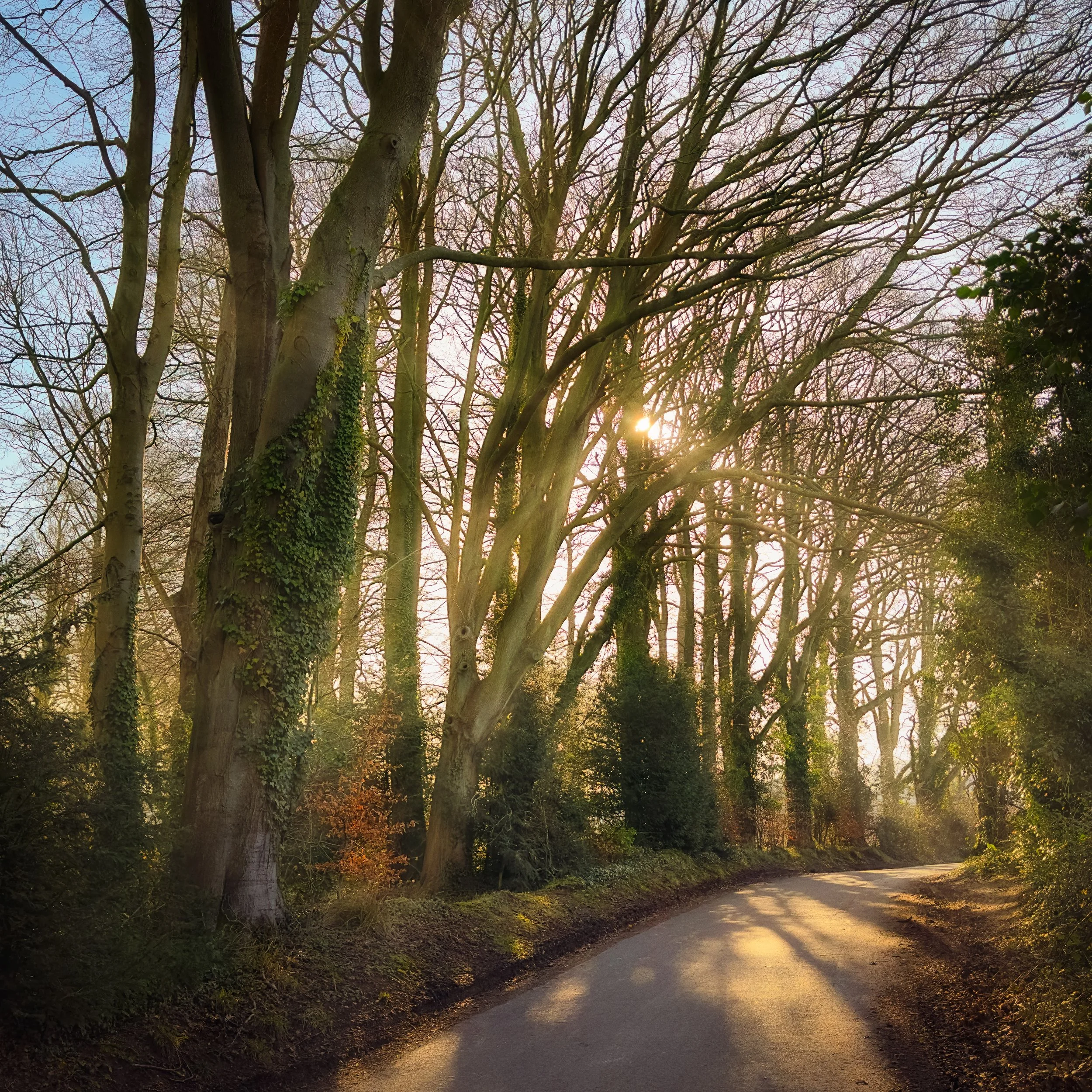 The Difference a Day Makes