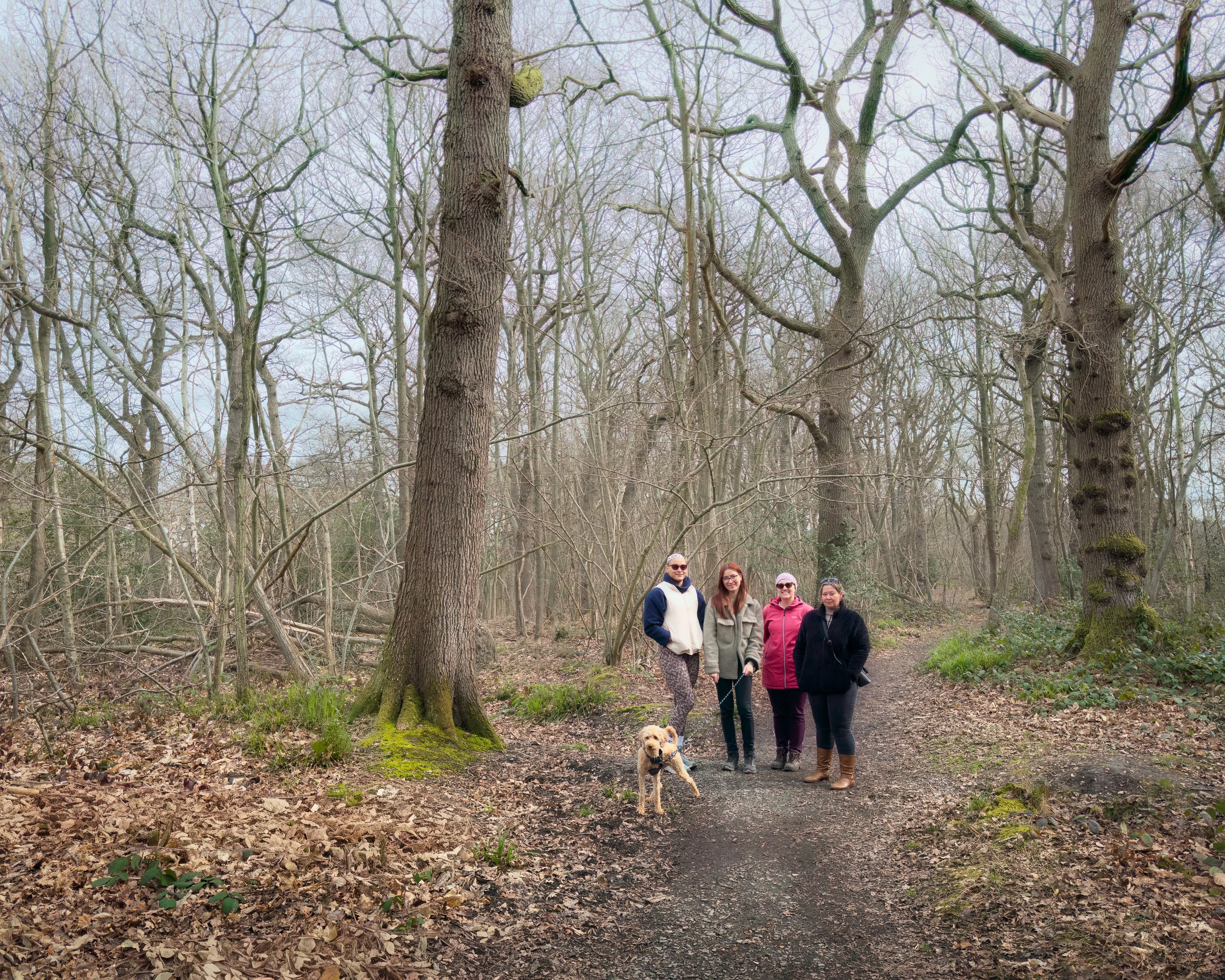 Blean Wood &amp; The Dolphin