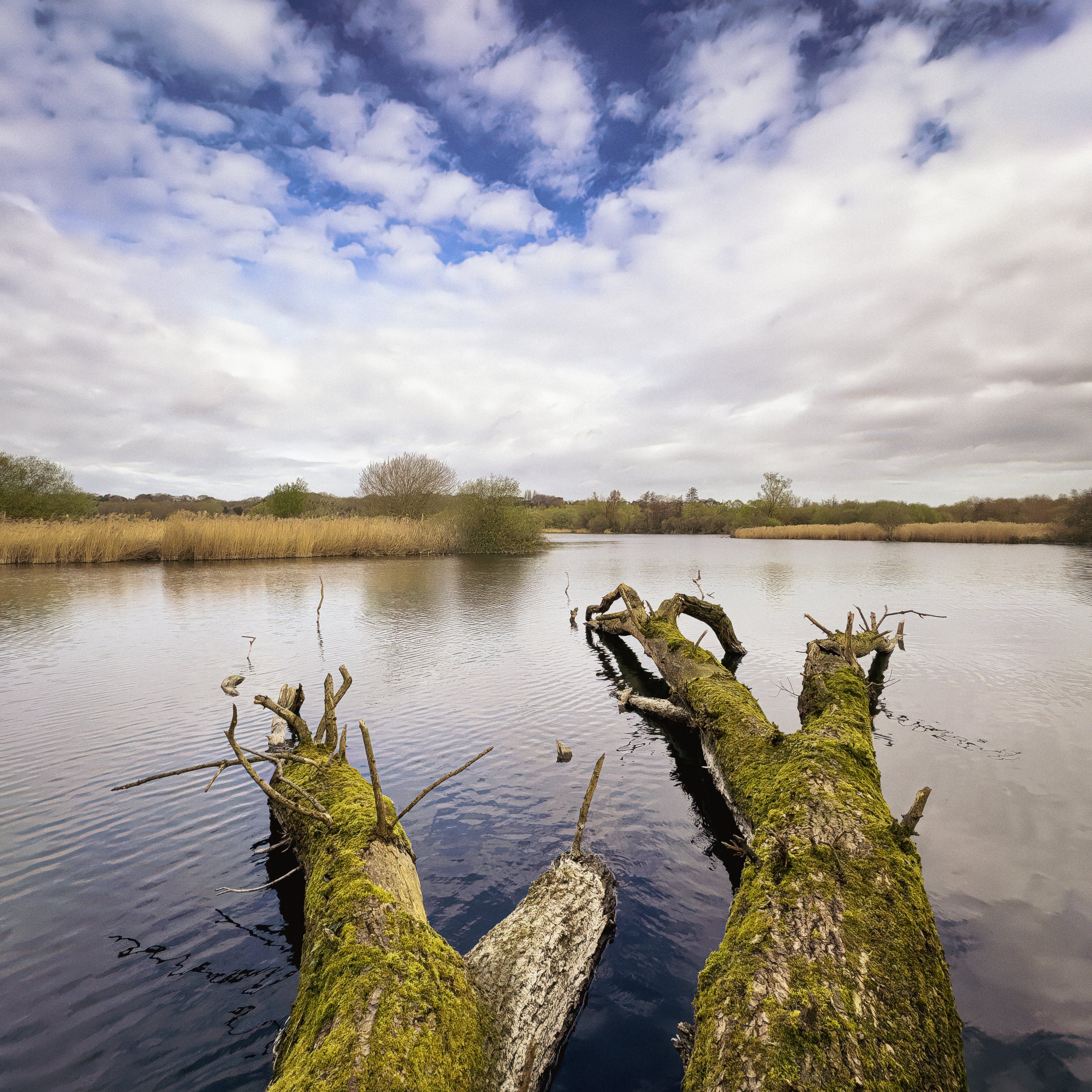Westbere Lakes