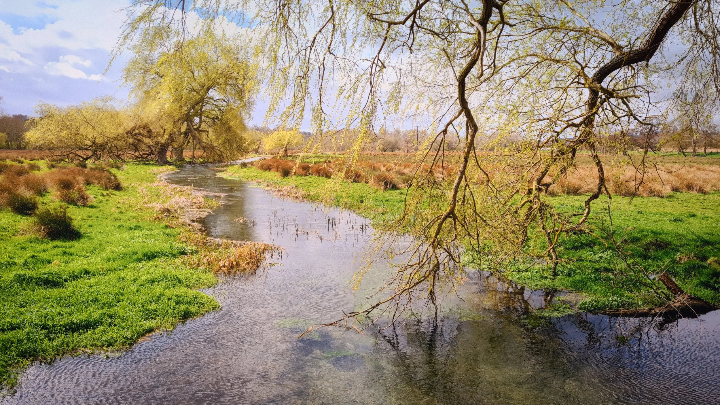Ickham 21k &amp; Mama Feelgood’s