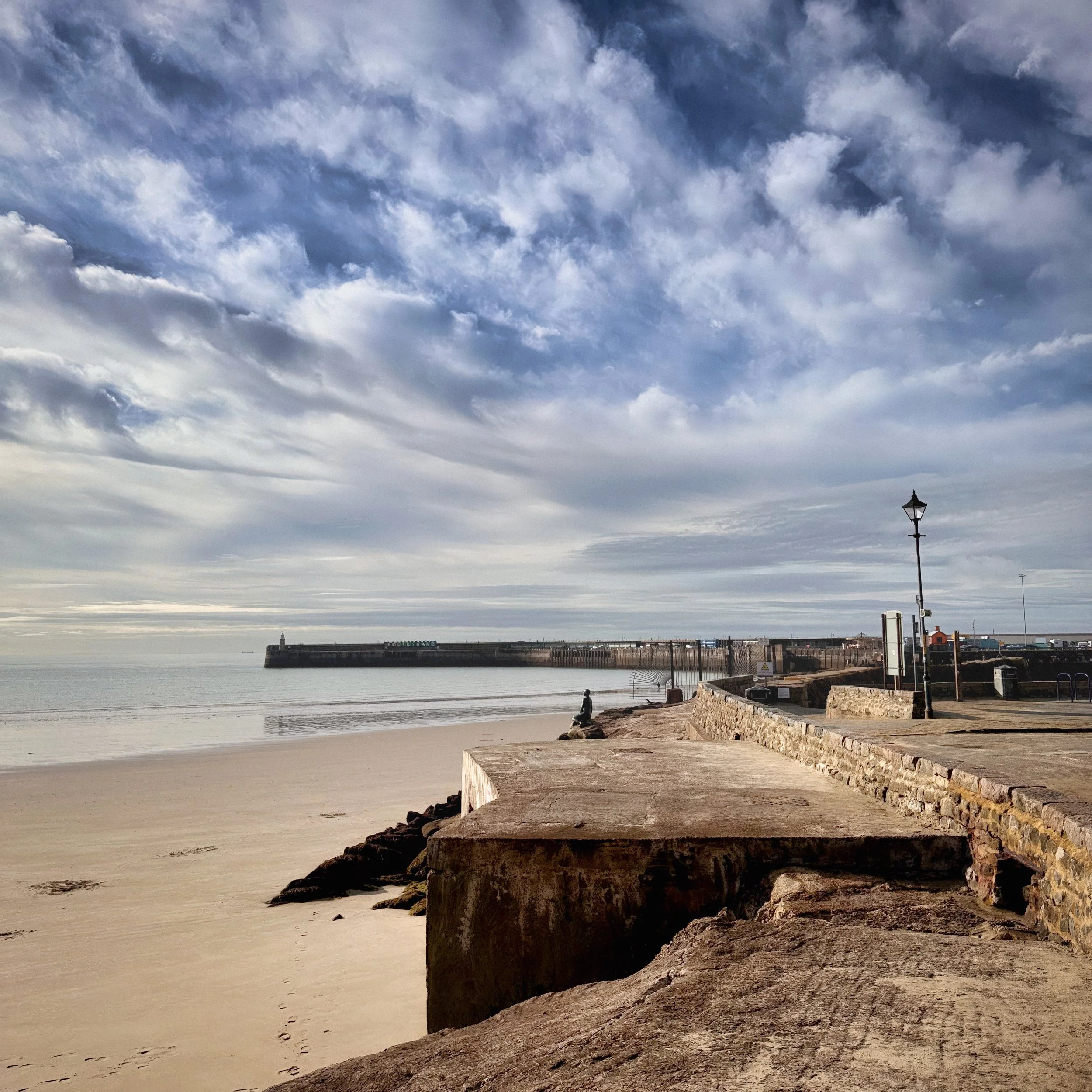 Folkestone Downs Challenge