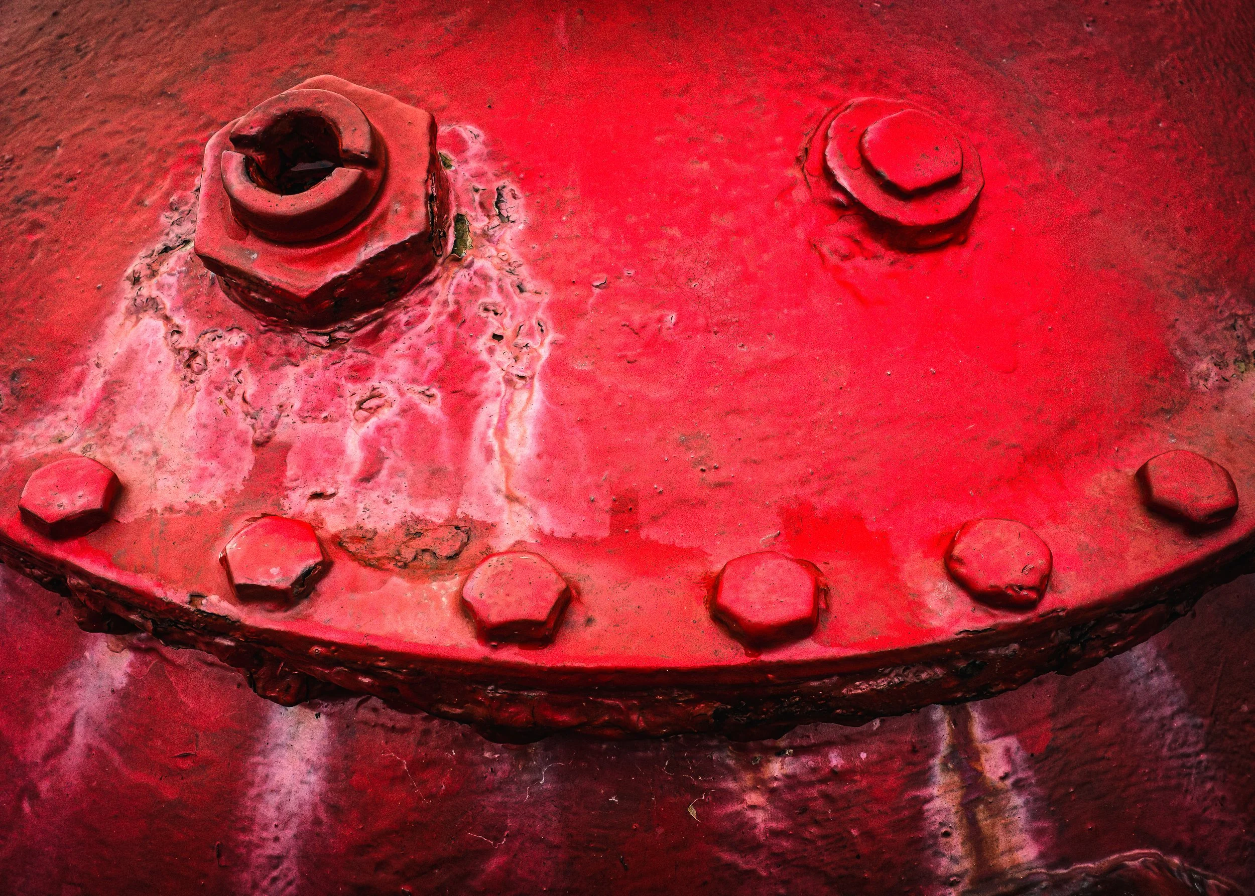 Rusty Robot Toad