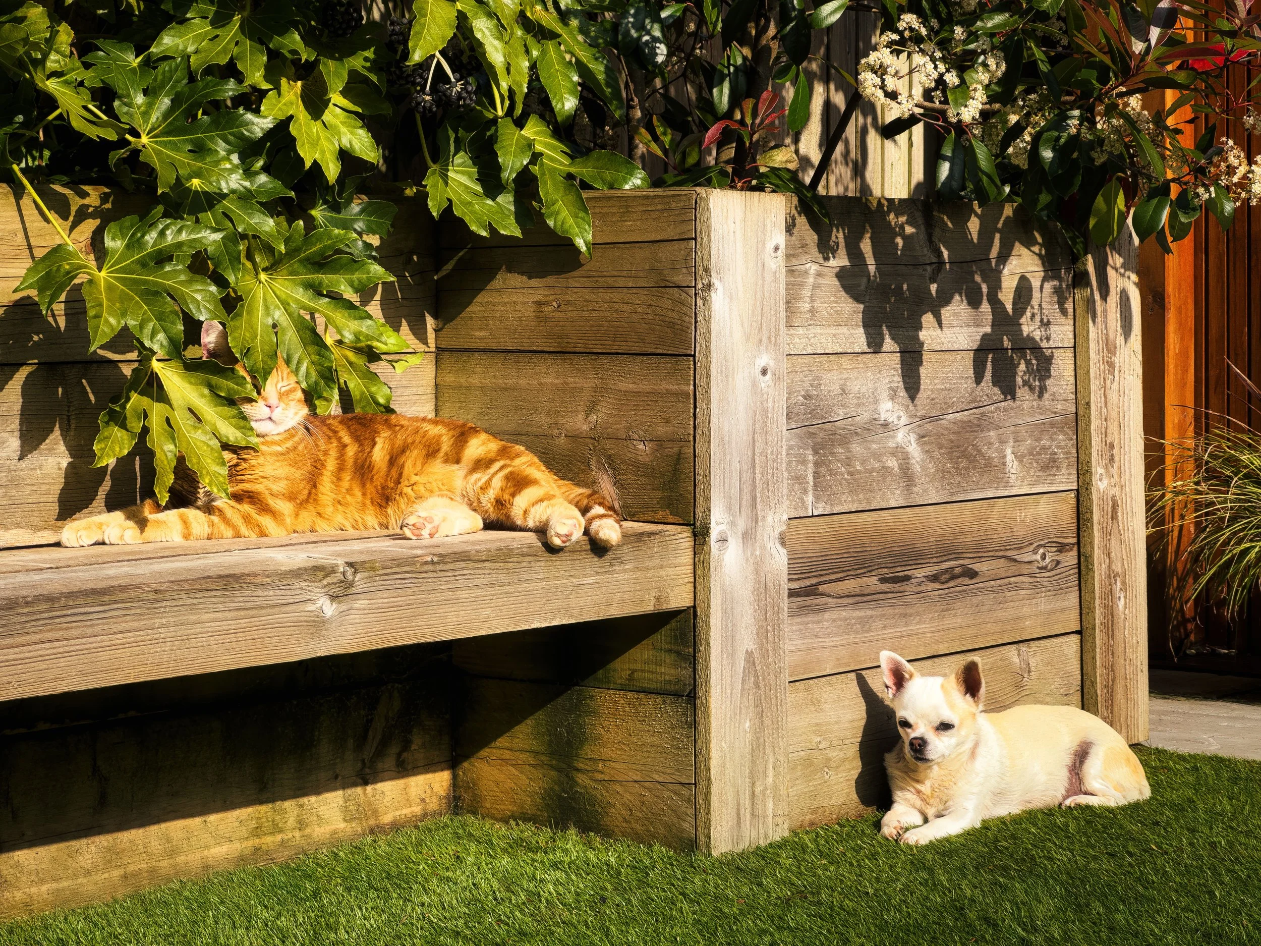 Enjoying the Rays