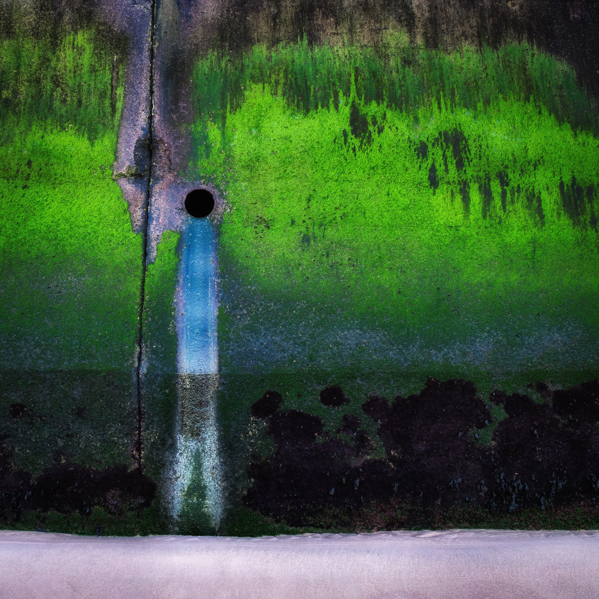 Sea Wall &amp; Serendipity