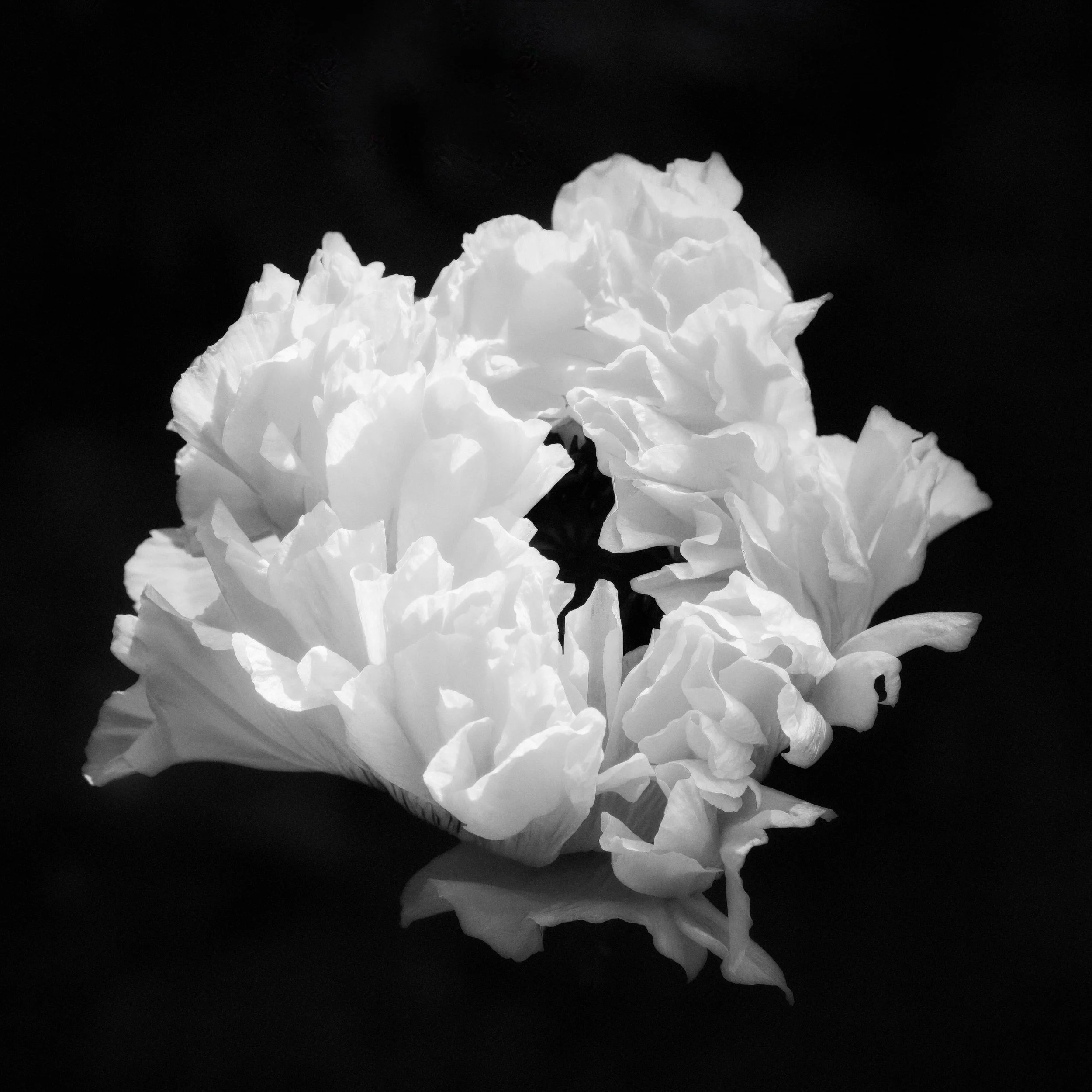 _DSF0054-2-Edit-2-Edit-Edit-Edit.jpg