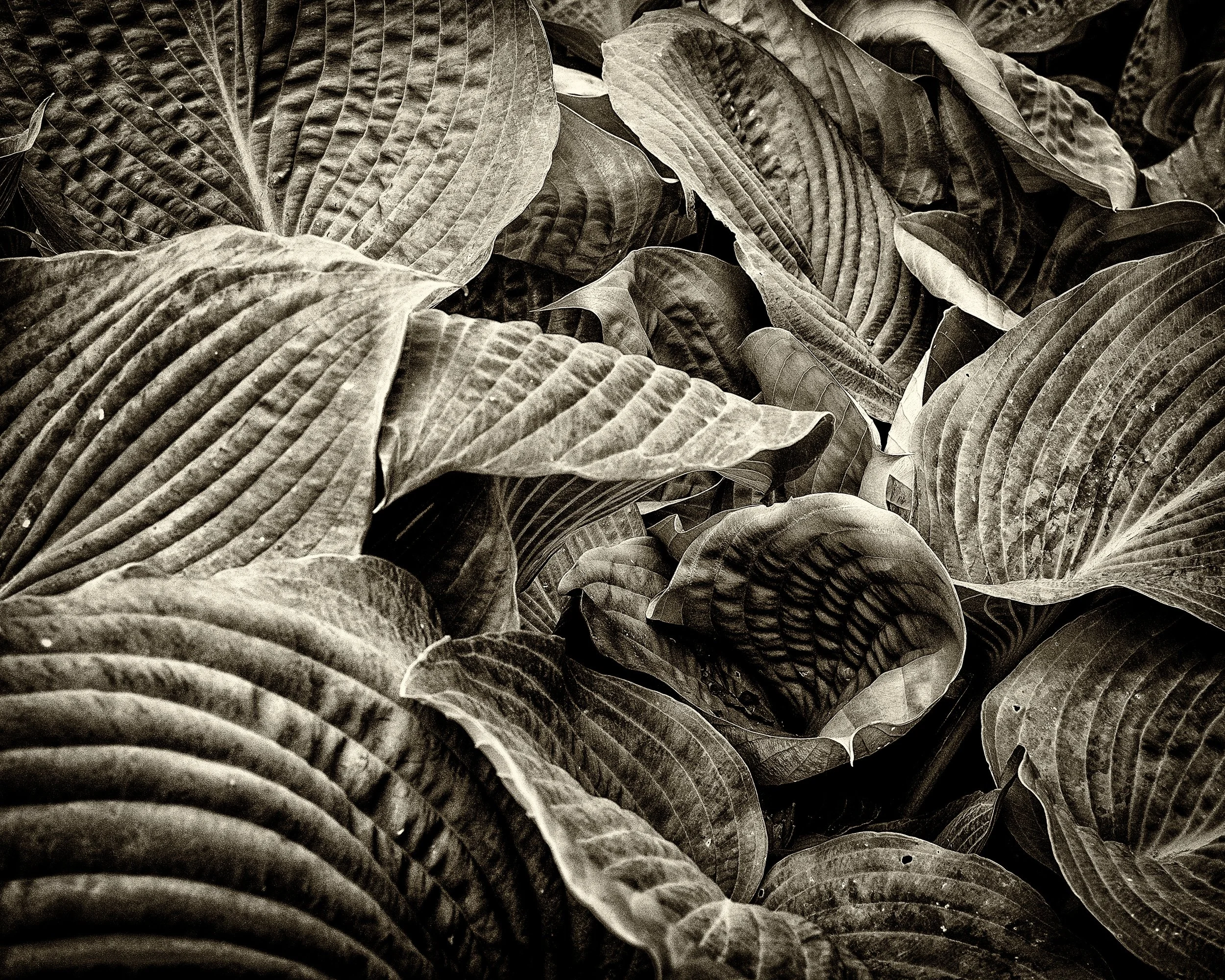 _DSF0144-2-Edit-Edit.jpg