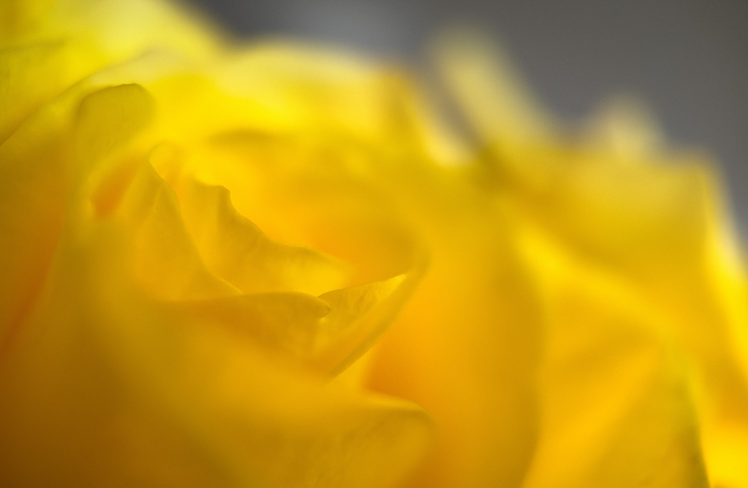 IMG_2774-Edit-Edit-Edit.jpg