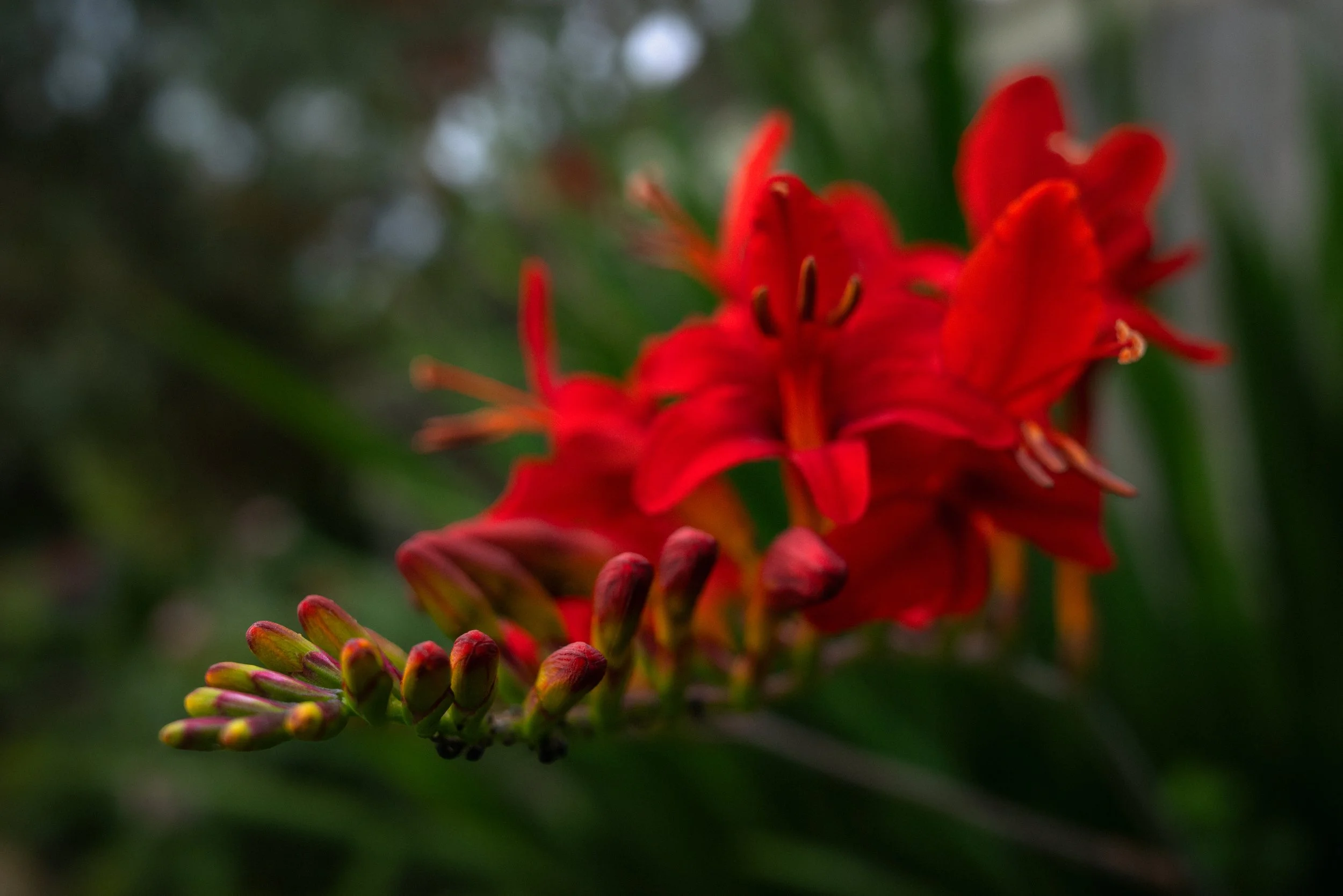 R0001052-Edit-Edit.jpg