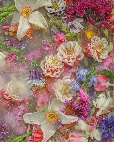 the-captivating-floral-artistry-of-joe-horner-16.jpg