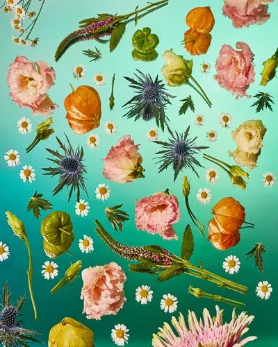 floral-group-stilllife.jpg