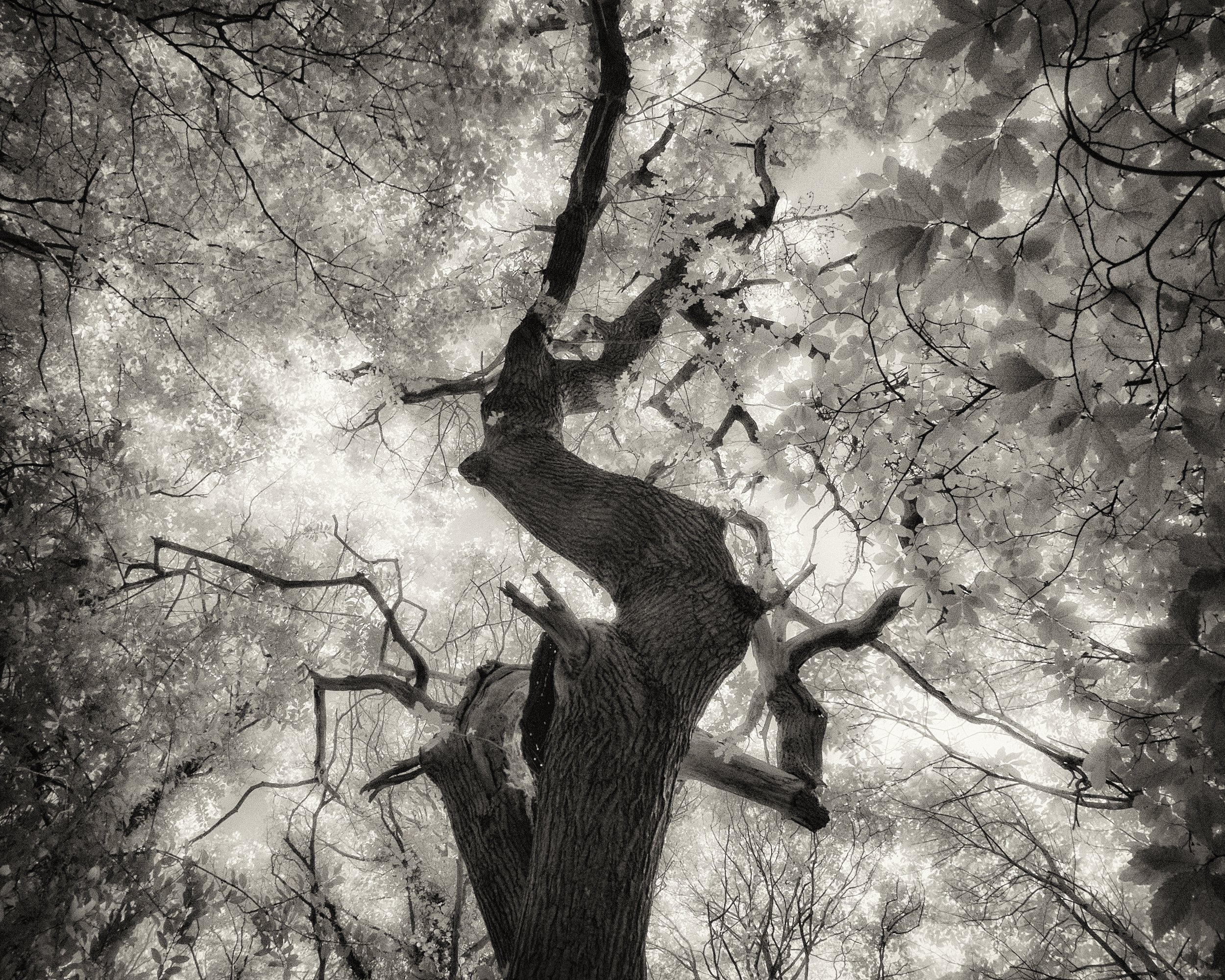 _DSF2993-Edit-Edit.jpg