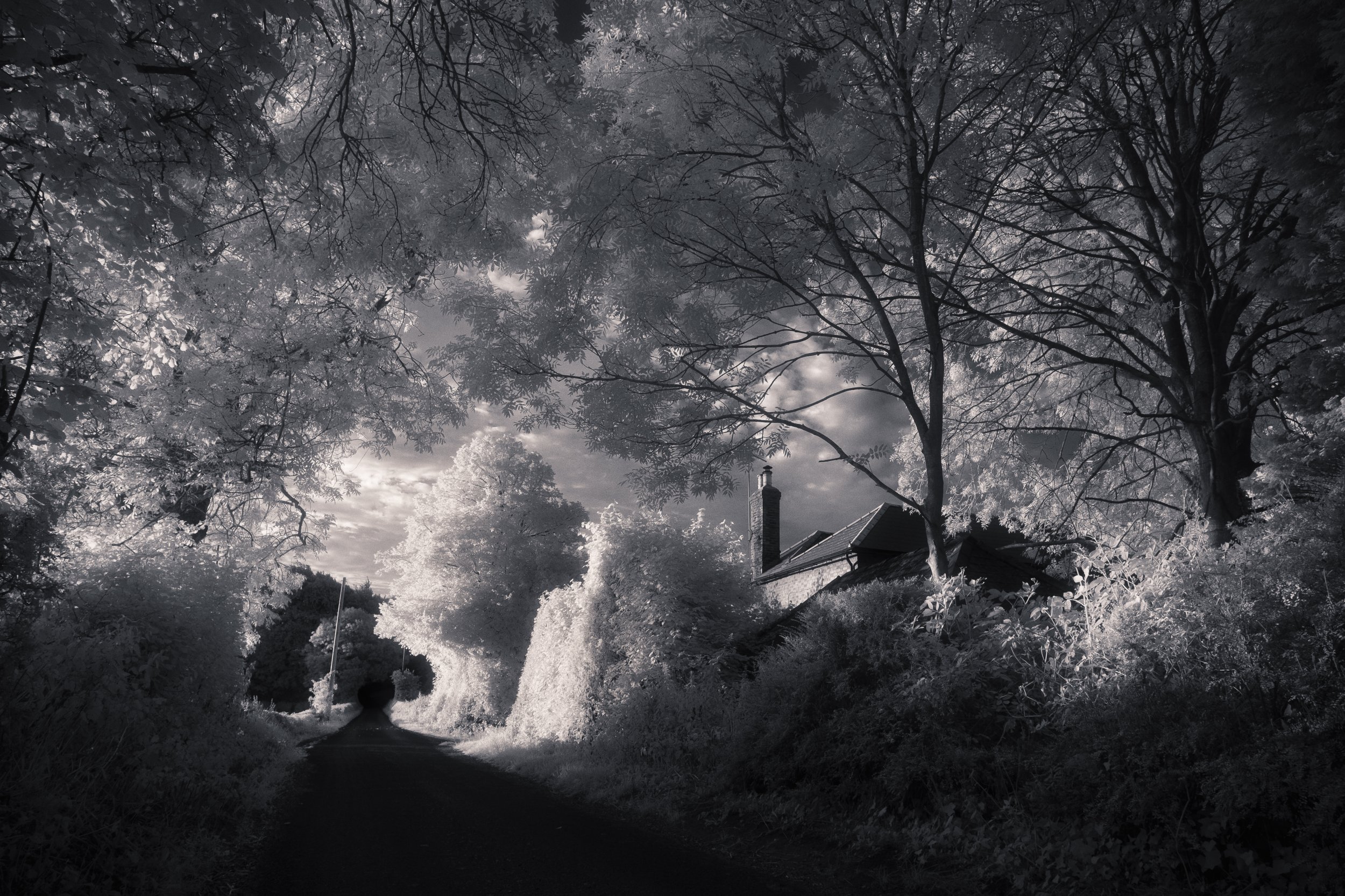 DSCF5517-Edit.jpg