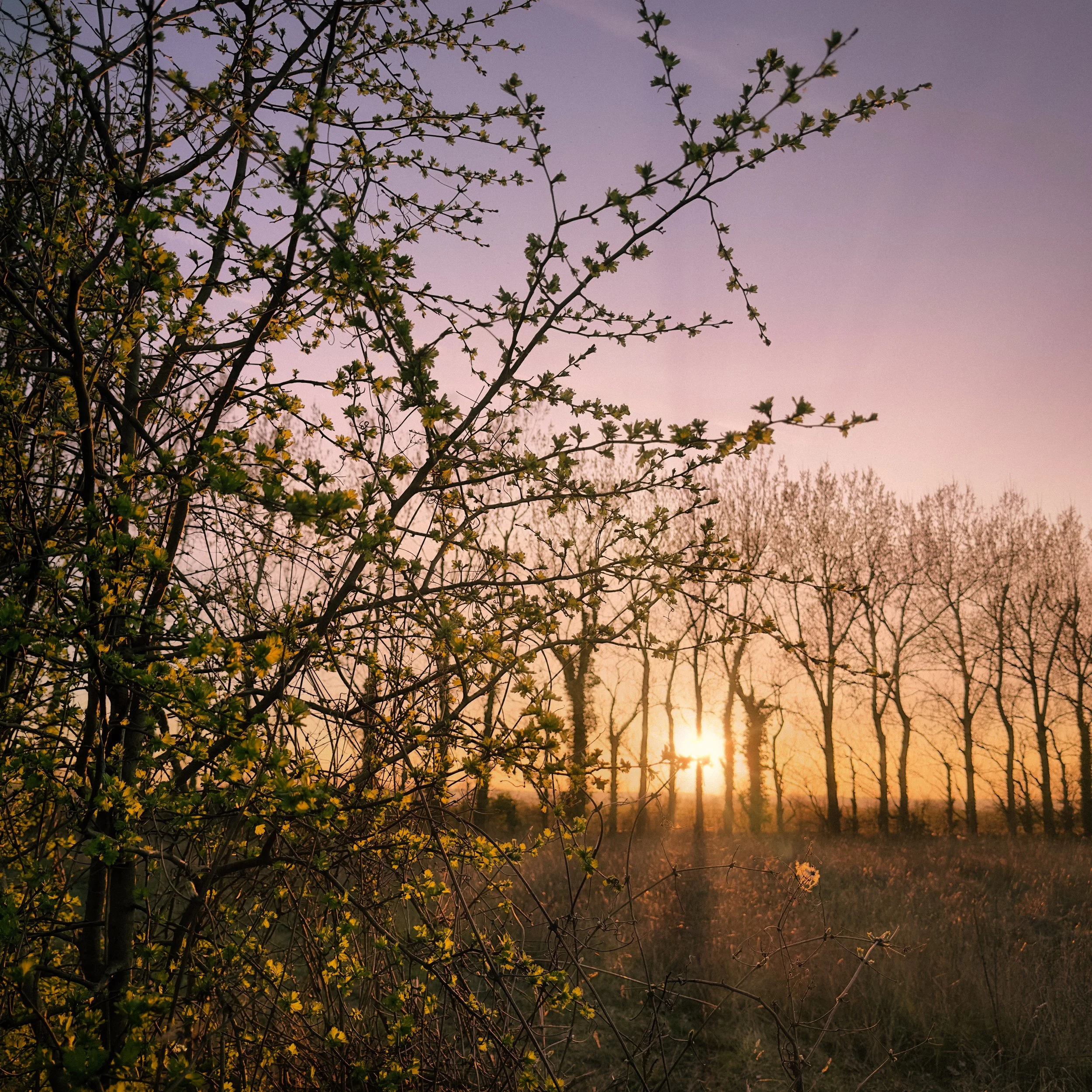IMG_6774-Edit-Edit.jpg