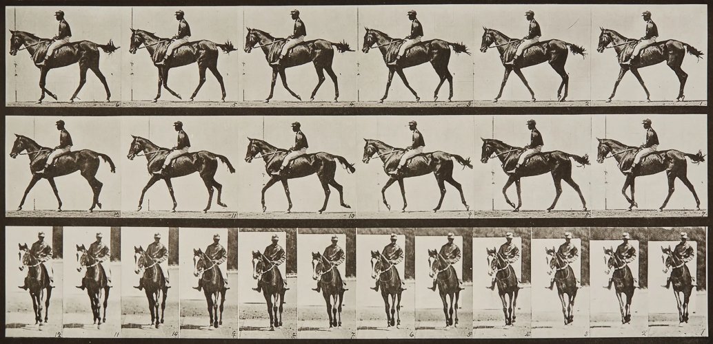 muybridge-horse-image.jpg