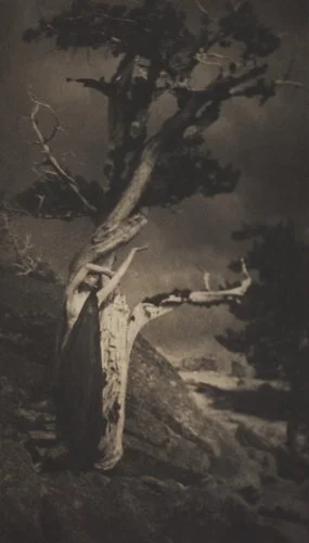 Anne-Brigman-The-Dying-Cedar-1903.jpg