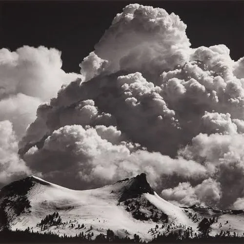 annebrigman-images.jpg