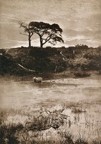 hprobinson-henry-peach-robinson-morning-mist-1902.jpg