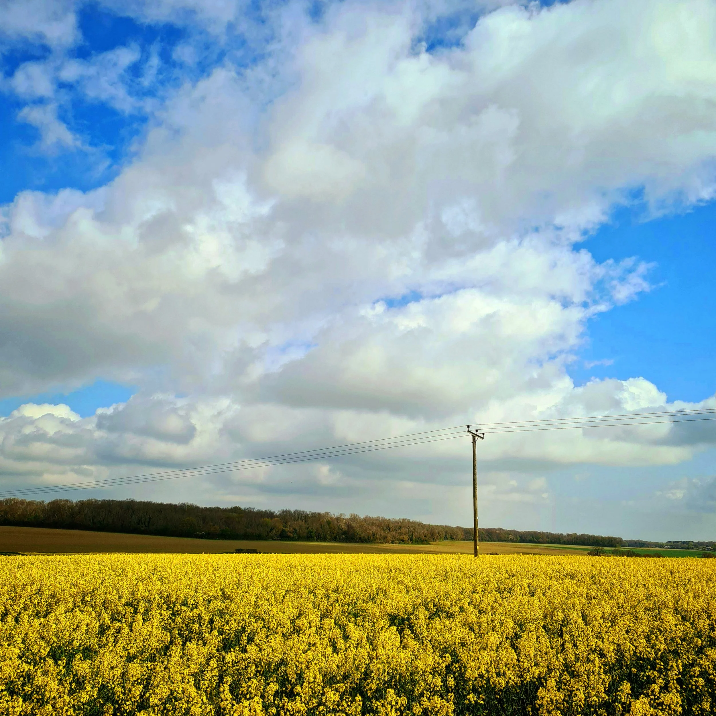 92B364CF-9950-4AB8-99BA-6D6CFD3BE562.jpg