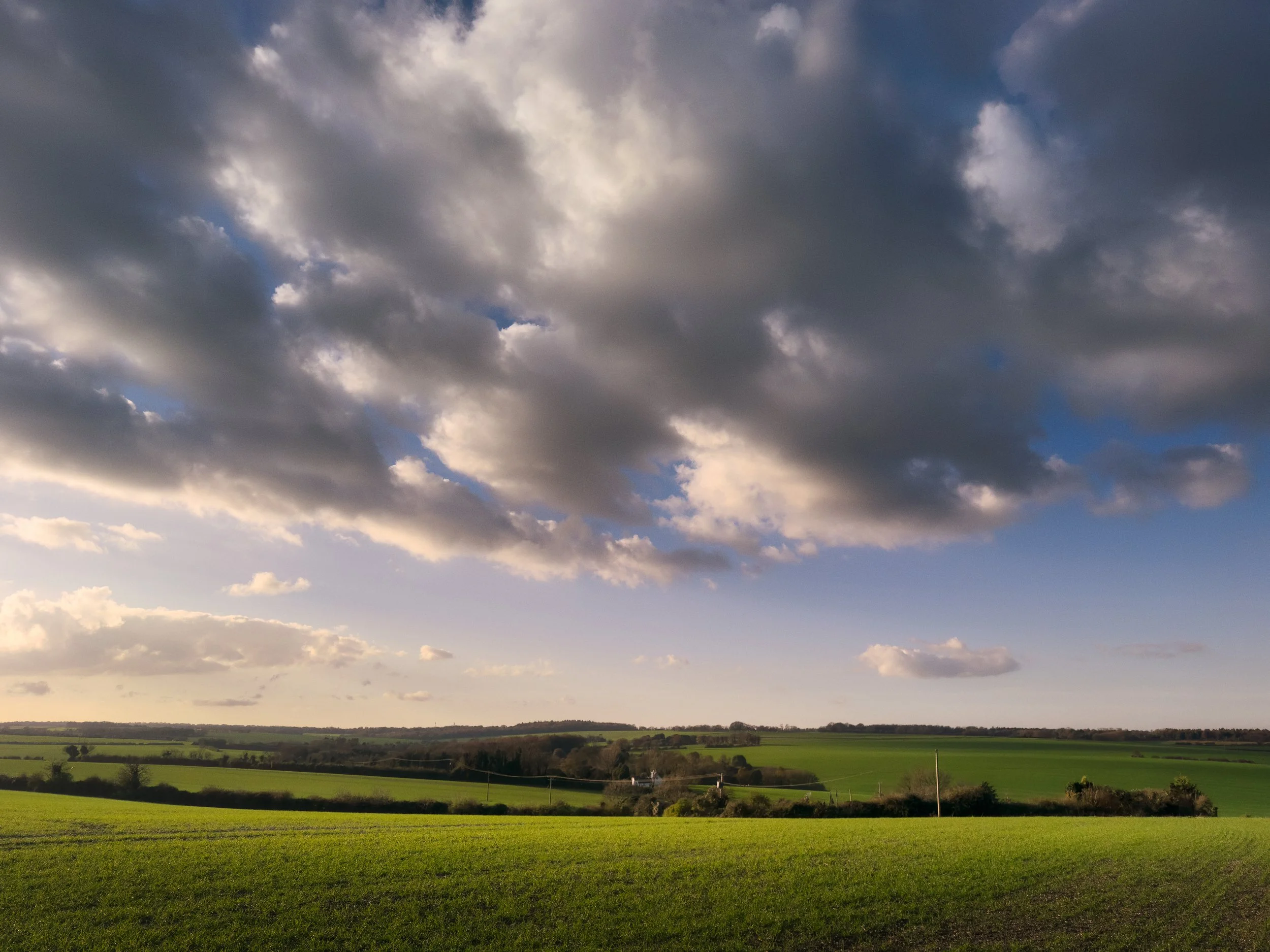 IMG_1268-Edit-Edit.jpg