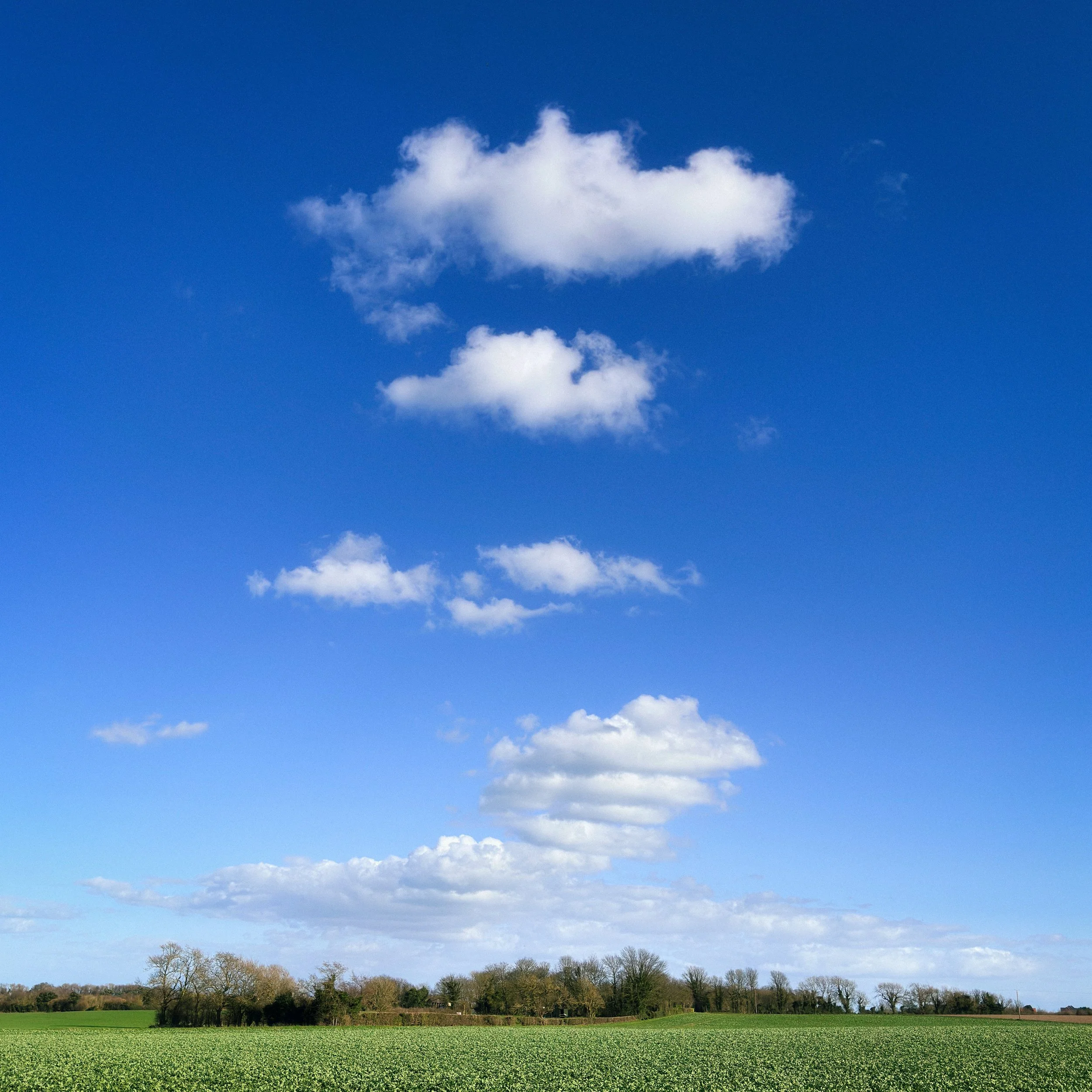 IMG_3429-Edit-Edit.jpg