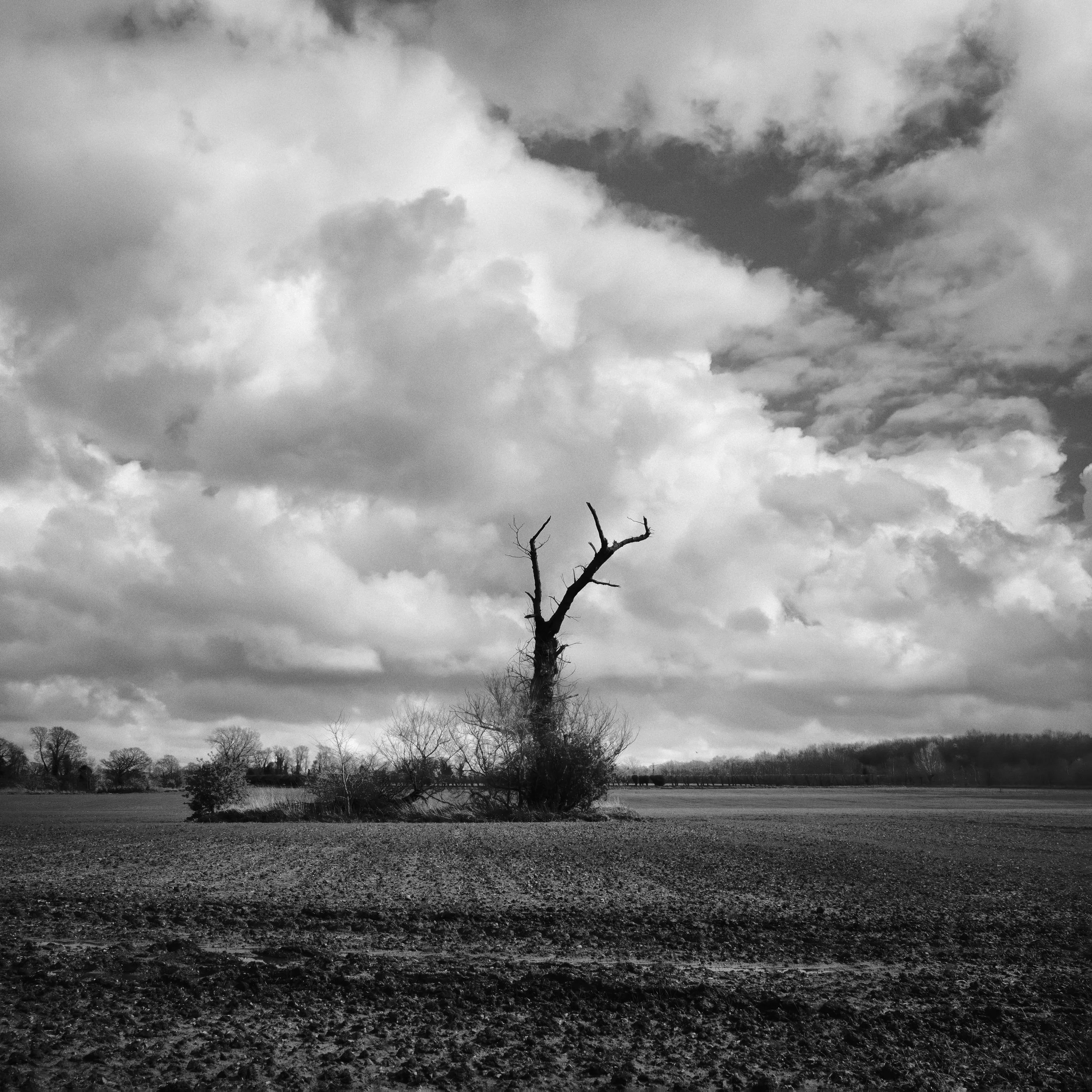 R0000121-Edit-Edit.jpg