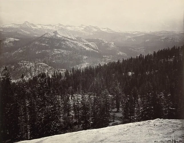 carletonwatkins-main-image (2).jpg