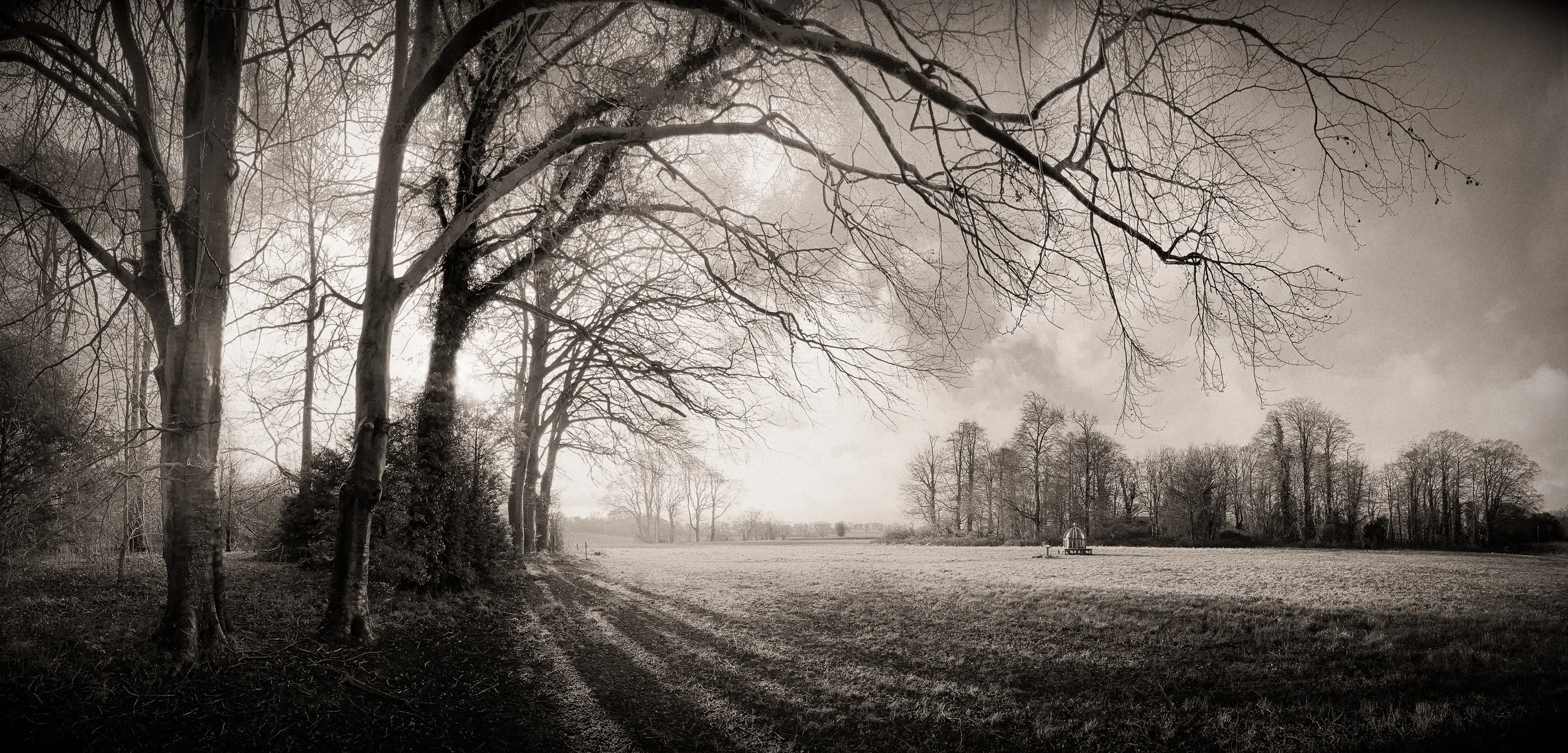 Panoramic Photography