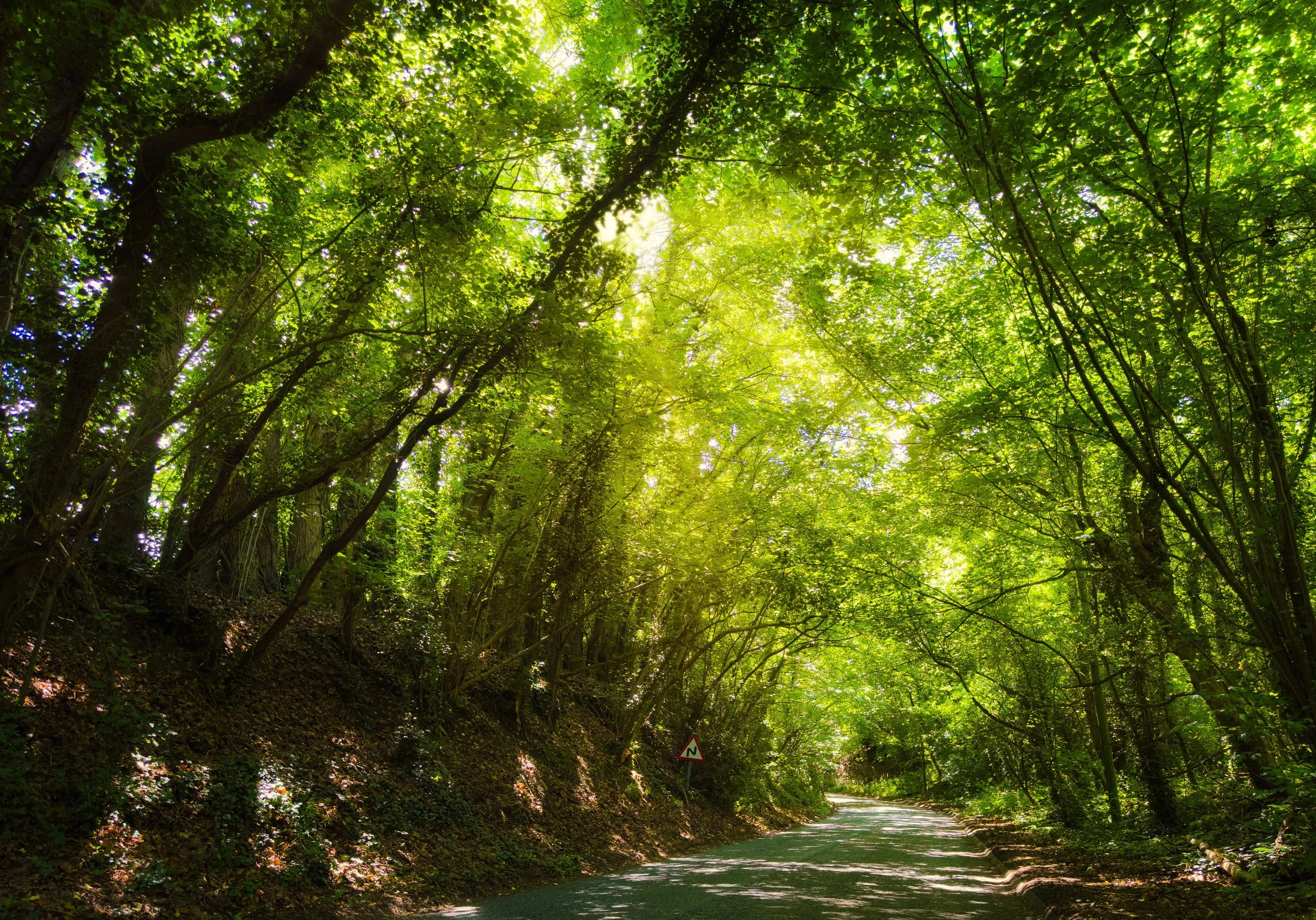 Faulkners Lane