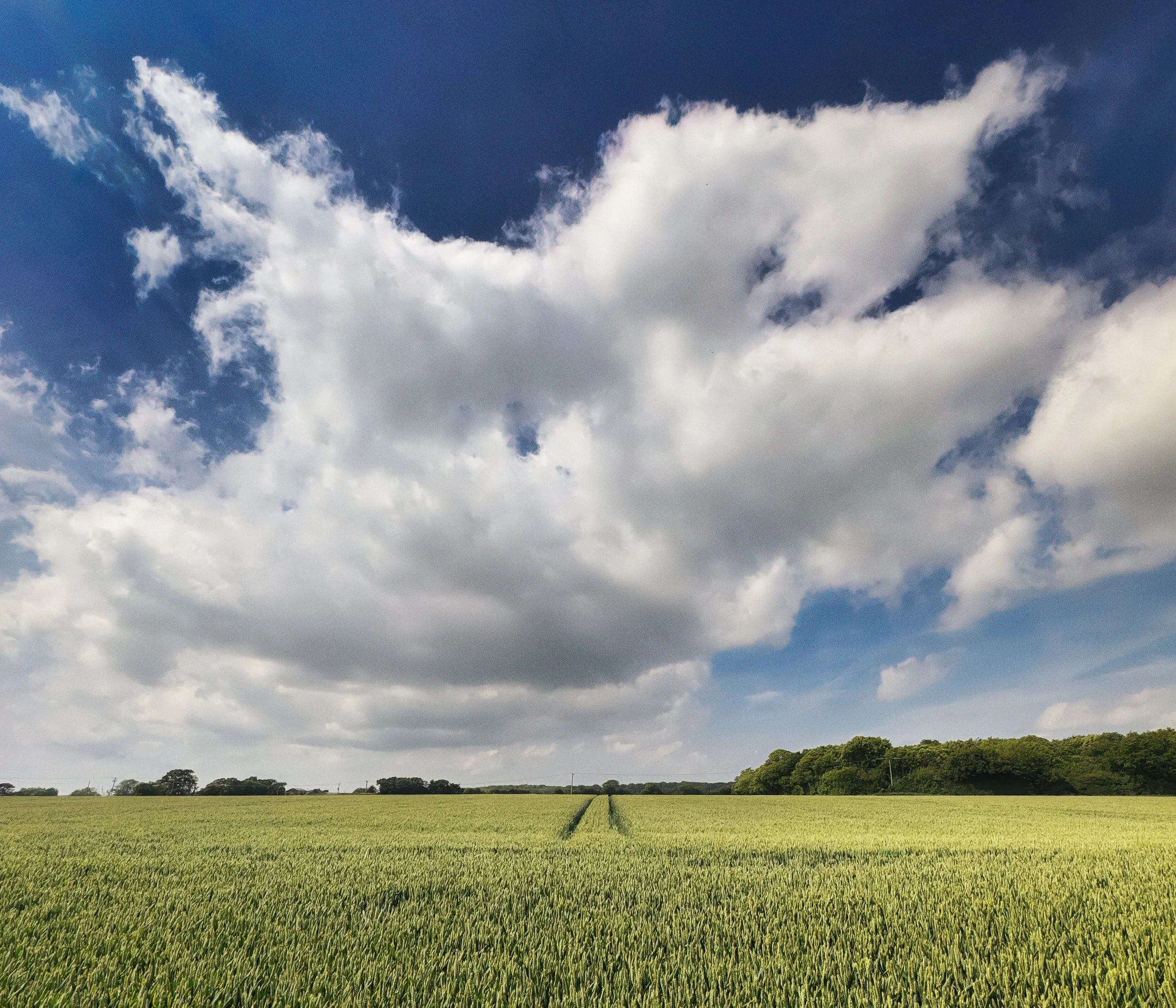 Cloud Equivalents