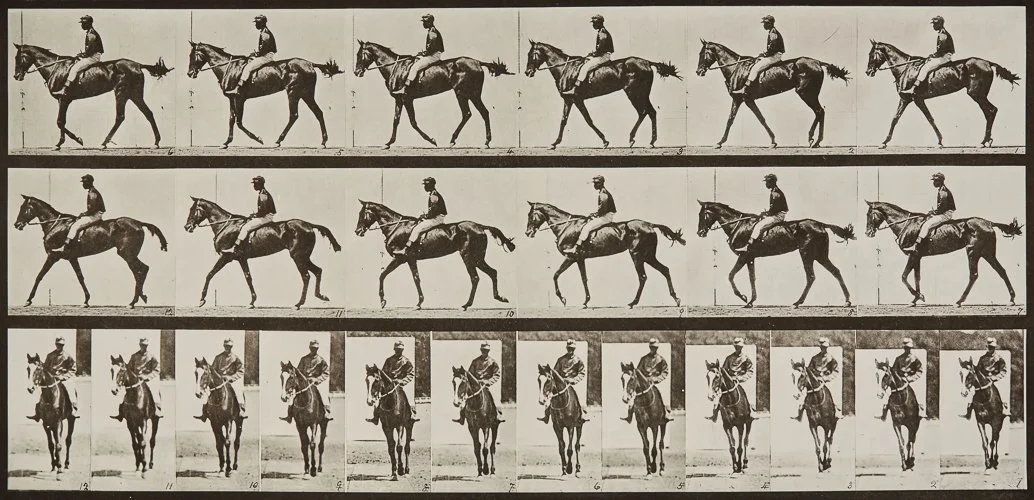 muybridge-horse-image.jpg