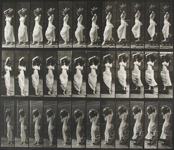 muybridge-HC10-5254+copy.jpg