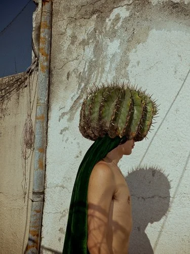 cristinademiddel-cactushead.jpg