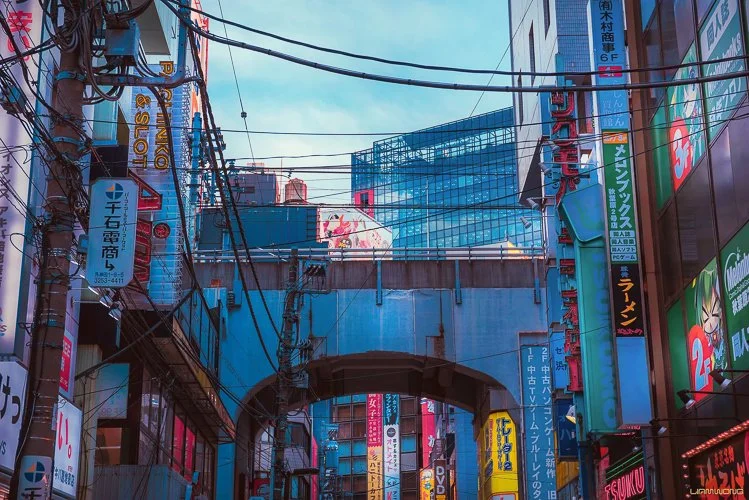 liamwong-LiamWong_Akihabara_Tokyo_Anime_TownArtboard+1.jpg