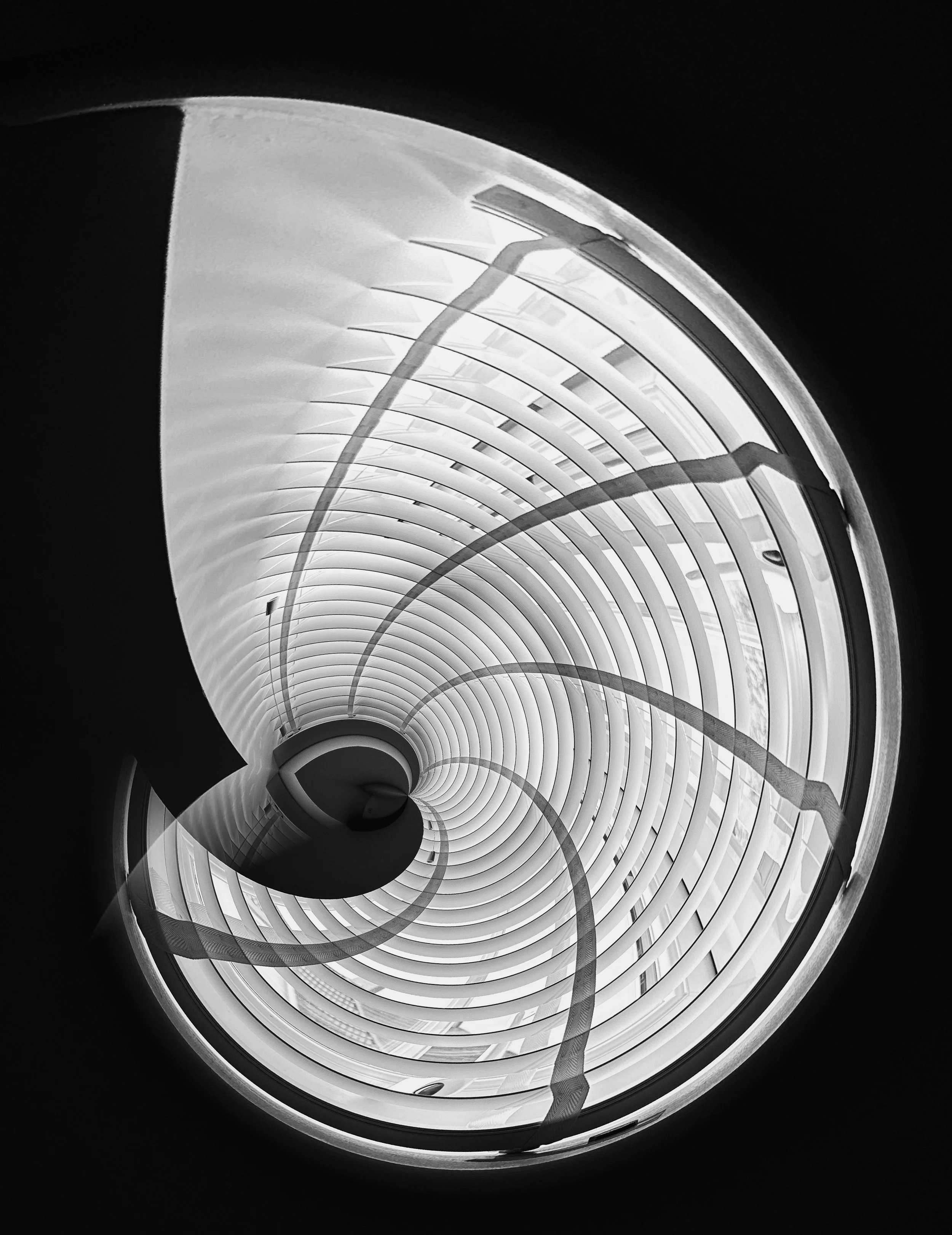 6C2AE3CB-DE54-4C1E-B1B2-2606C9B02160.jpg