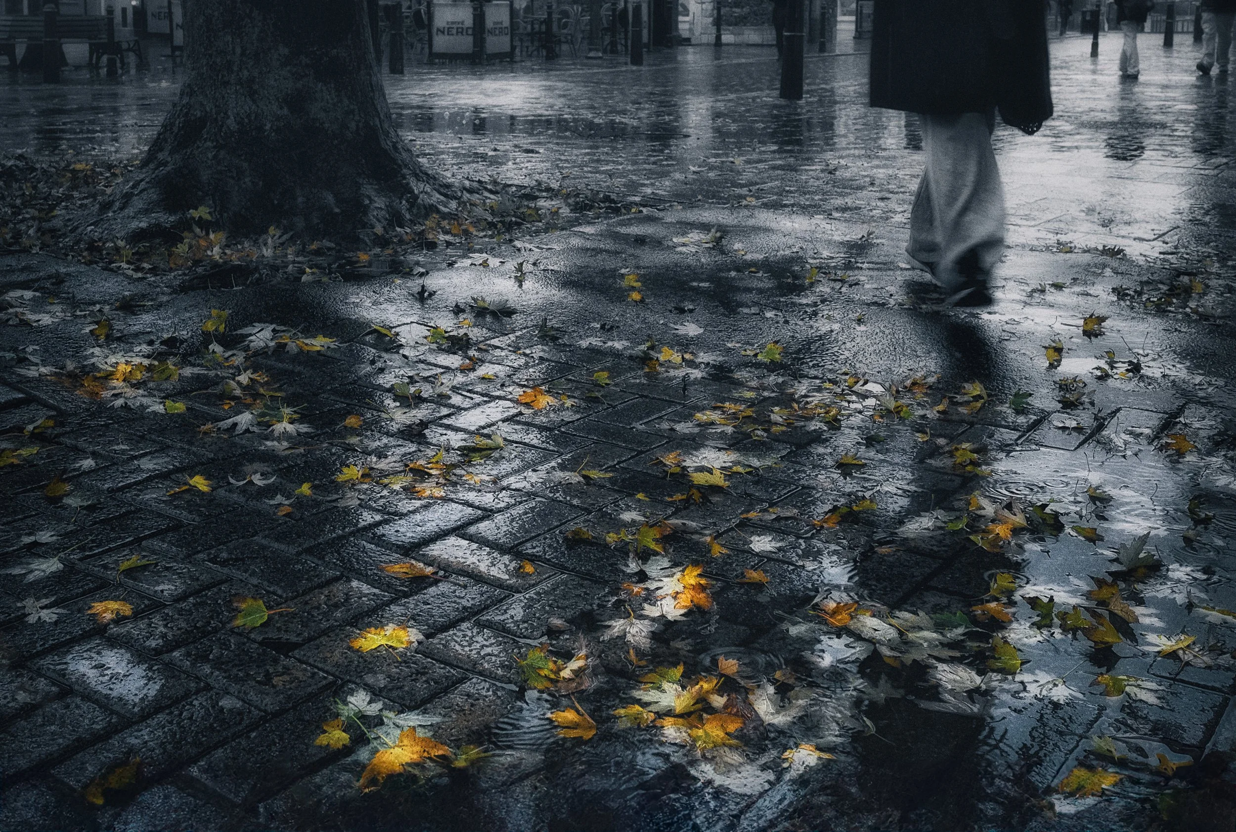 _DSF7071-Edit-Edit-Edit.jpg
