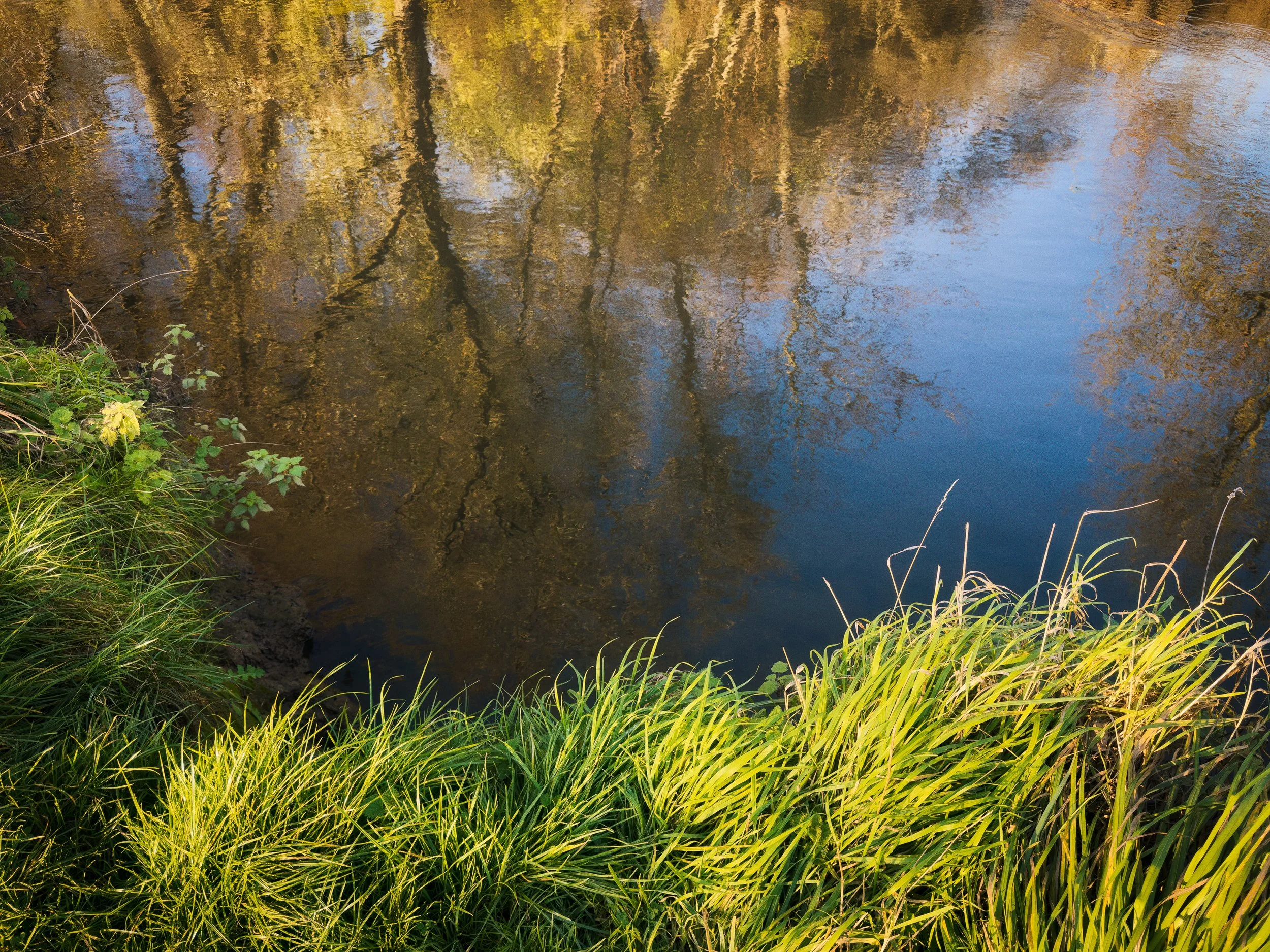 IMG_1439-Edit-Edit-Edit.jpg