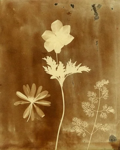 williamhenryfoxtalbot-talbotcatalogue03.jpg