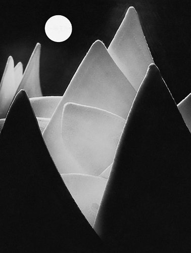 jaroslavrossler-eugen-wiskovsky-lunar-landscape-or-collars-web.jpg